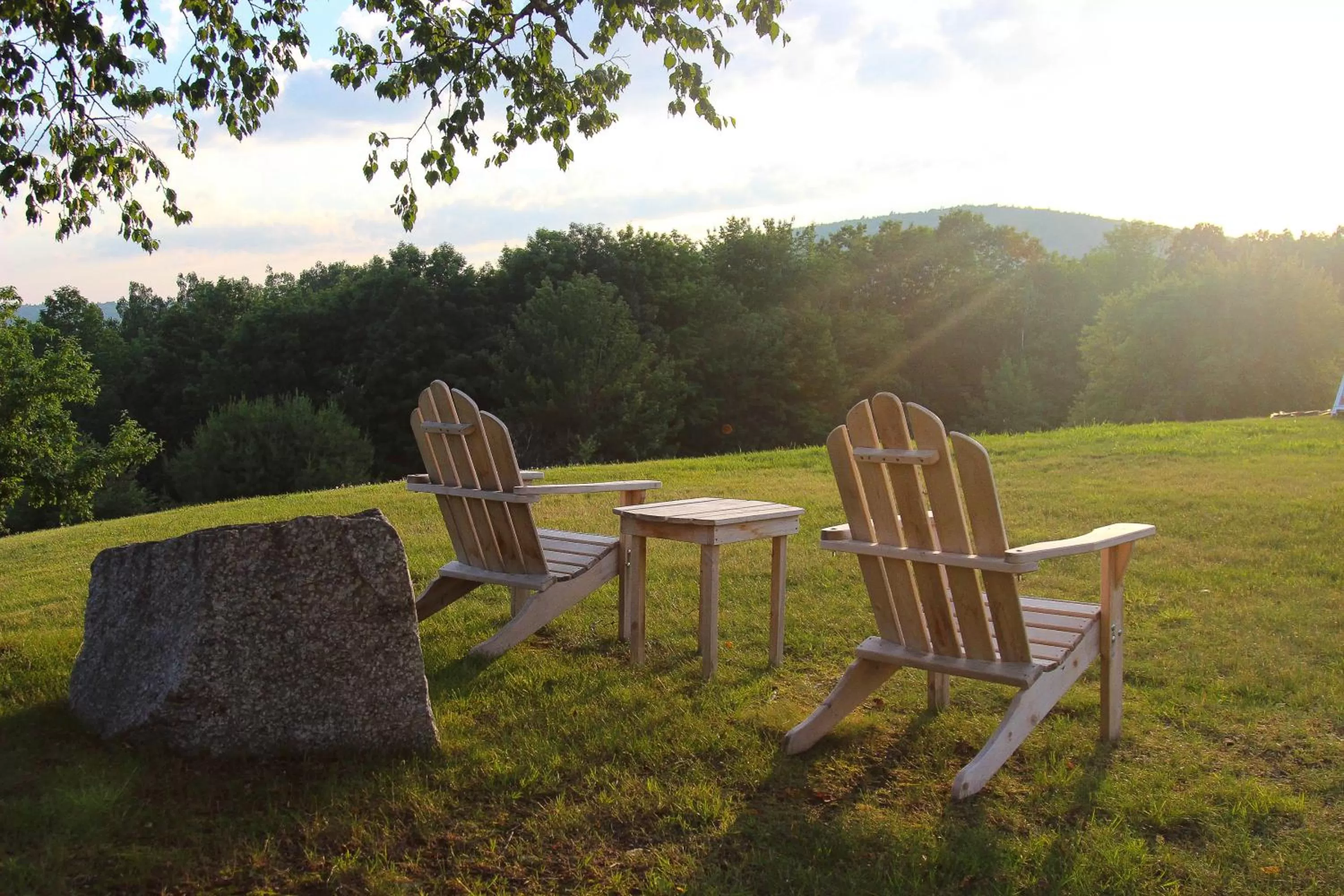 Garden in The Lucerne Inn