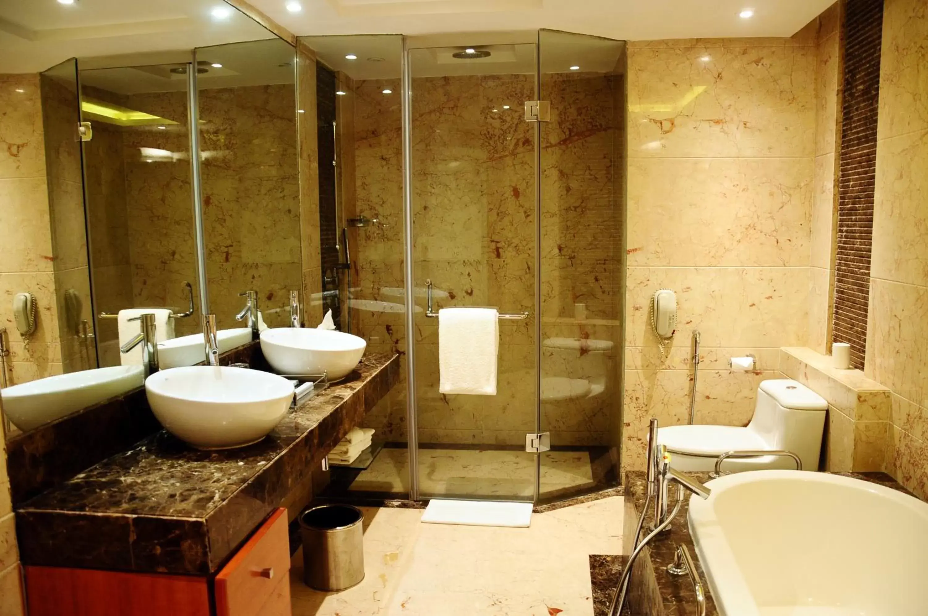 Bathroom in Radisson Blu Plaza Delhi Airport