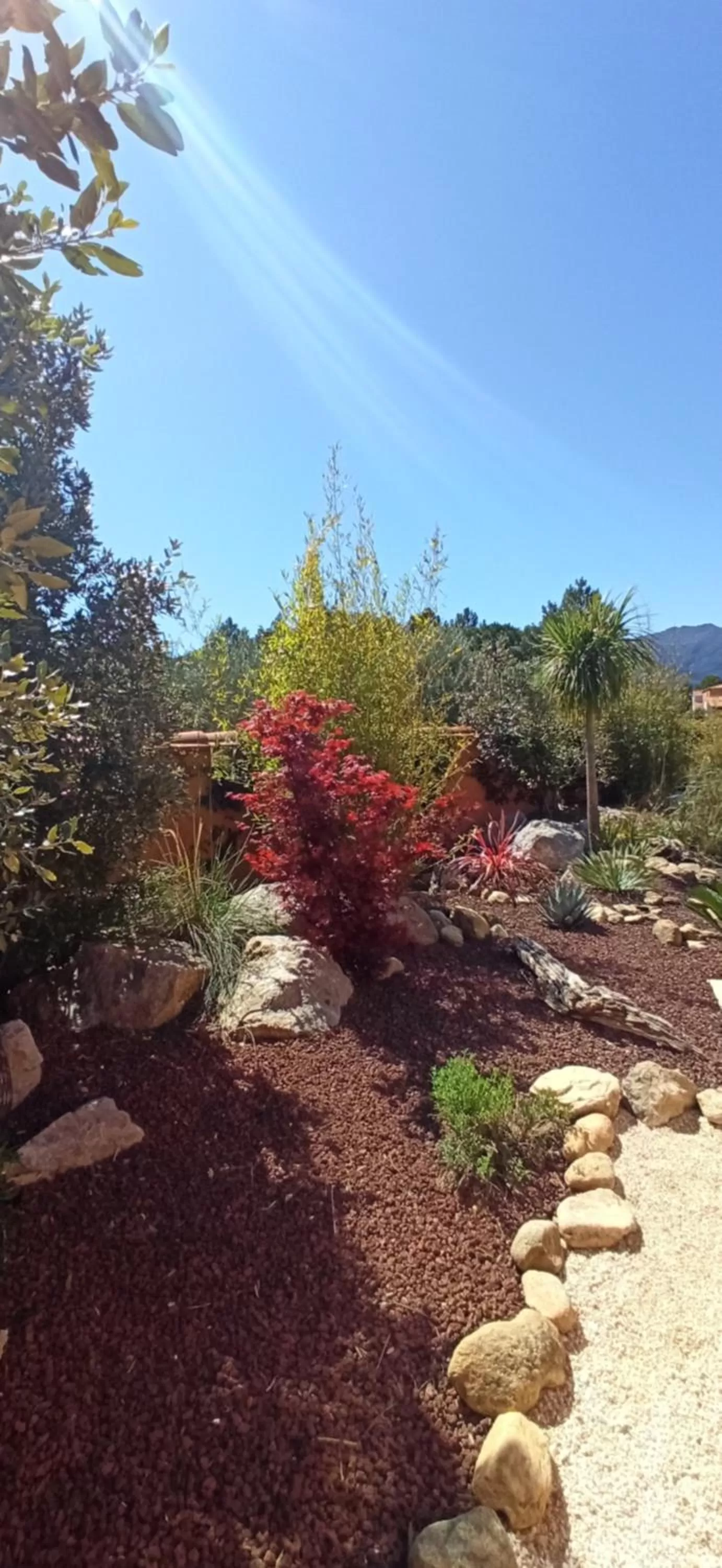 Garden in Villa SOREDE