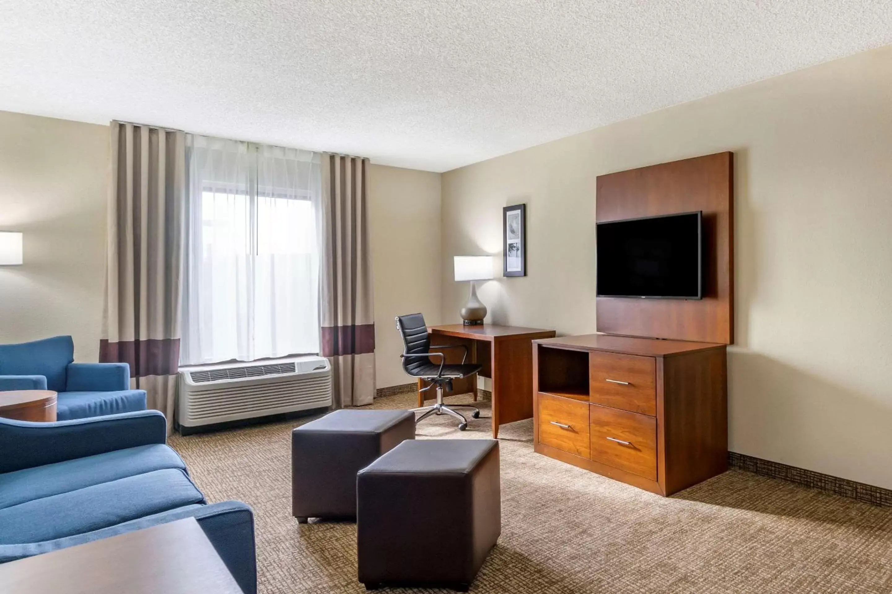 Bedroom, TV/Entertainment Center in Comfort Inn & Suites St Pete - Clearwater International Airport