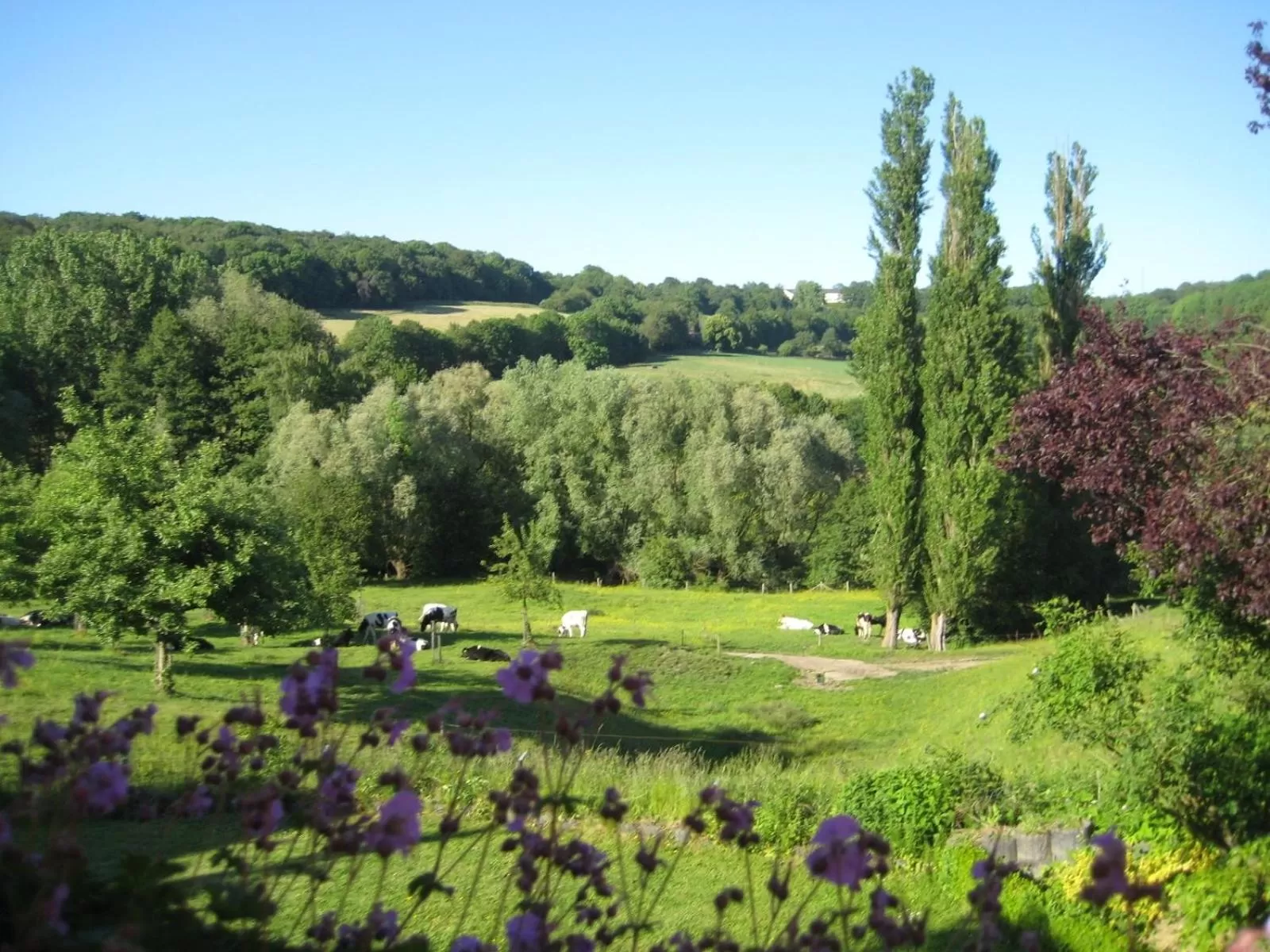 Animals in Hotel - B&B - Appartement de Zevende Heerlijkheid