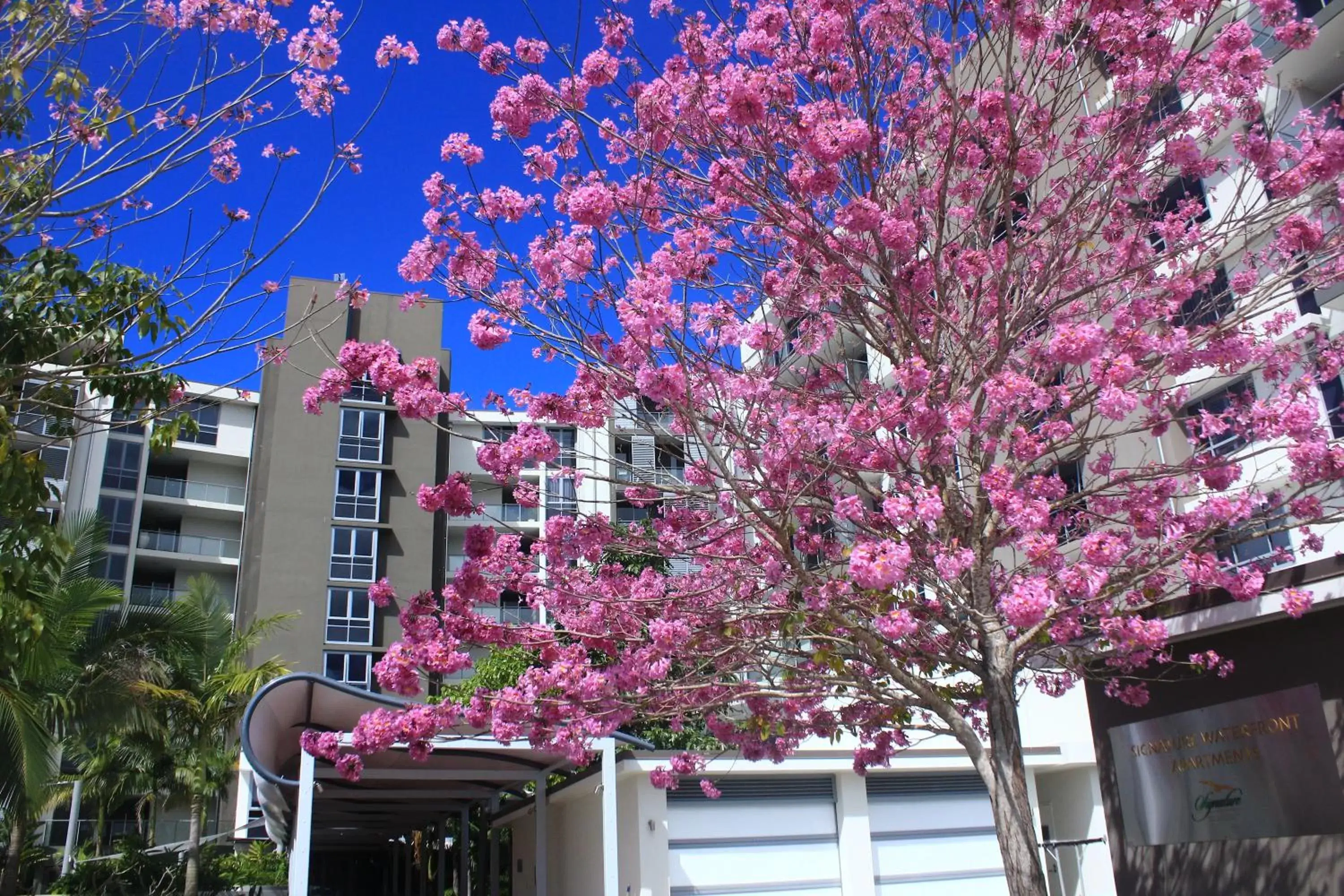 Facade/entrance, Property Building in Signature Waterfront Apartments