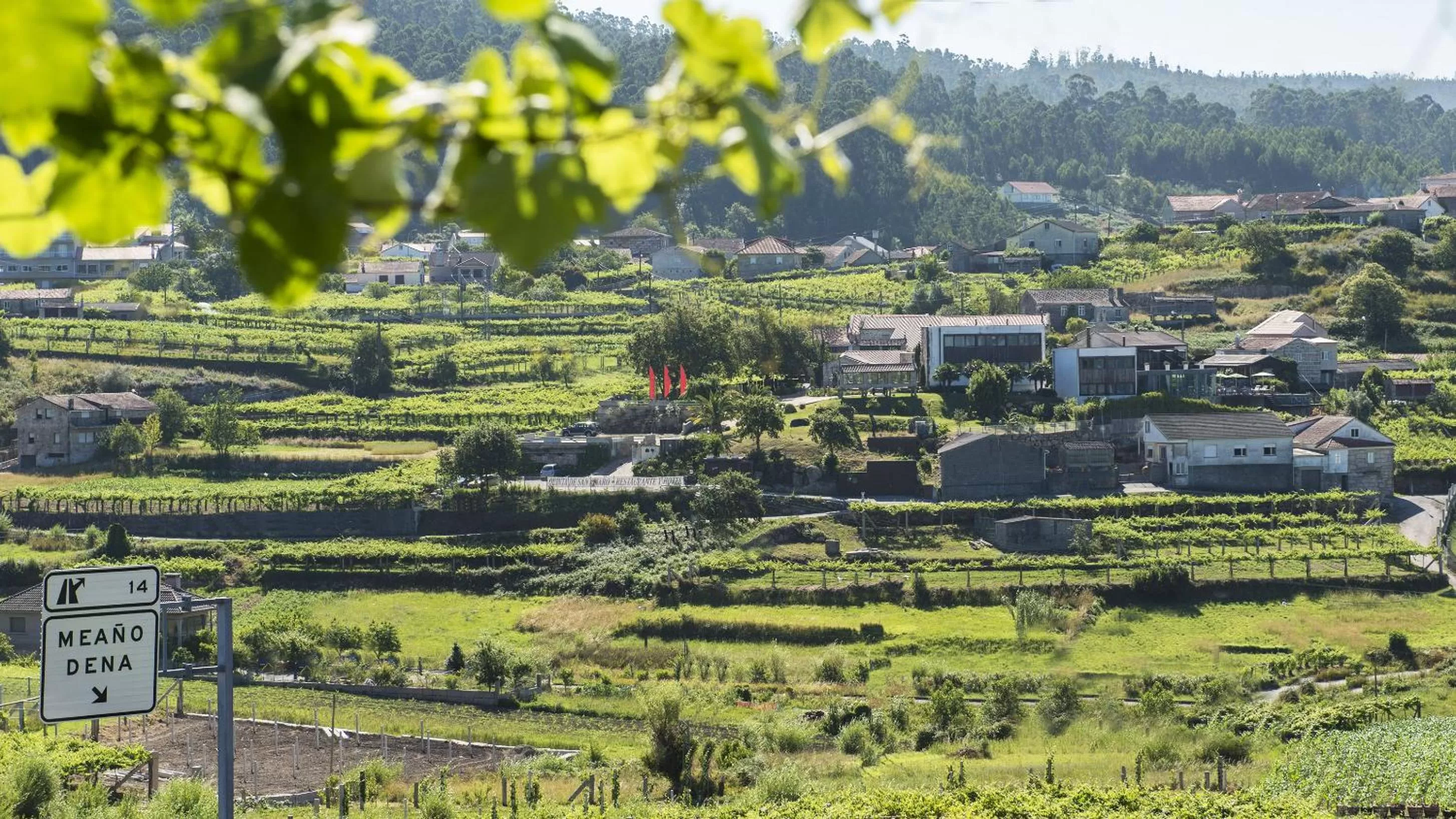 Day in Quinta de San Amaro Rias Baixas