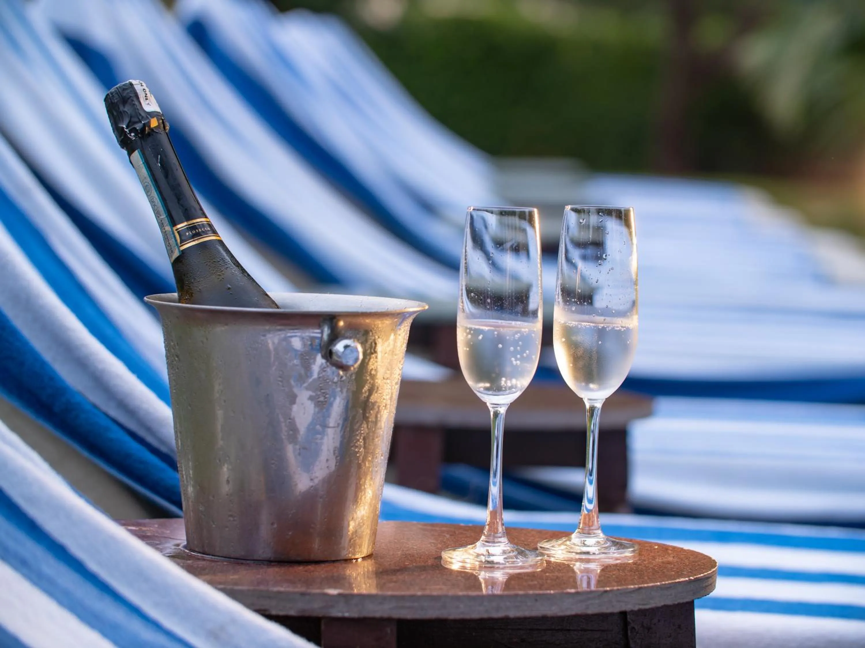 sunbed in Hotel Narain Niwas Palace