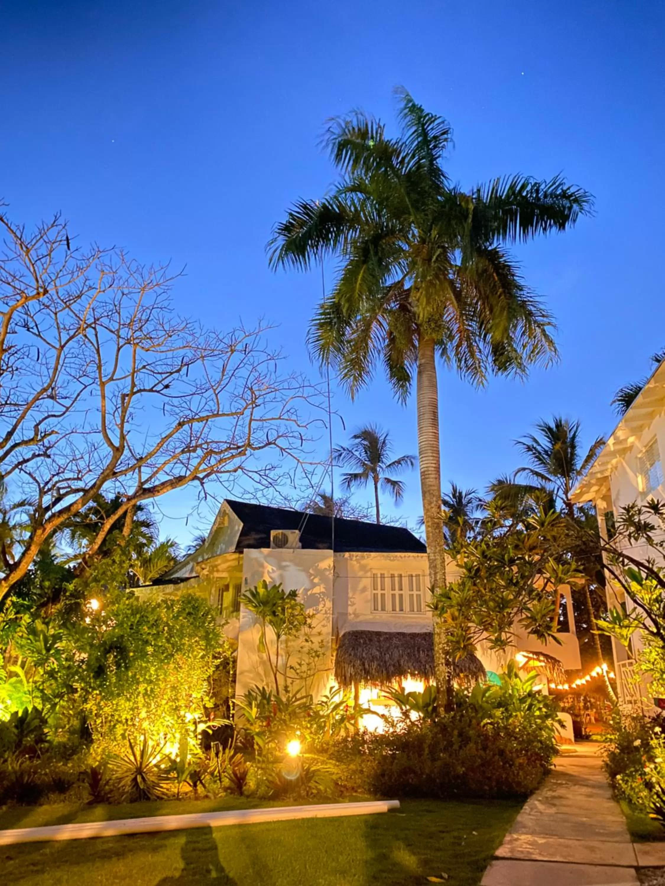 Property Building in El Mosquito Boutique Hotel Playa Bonita