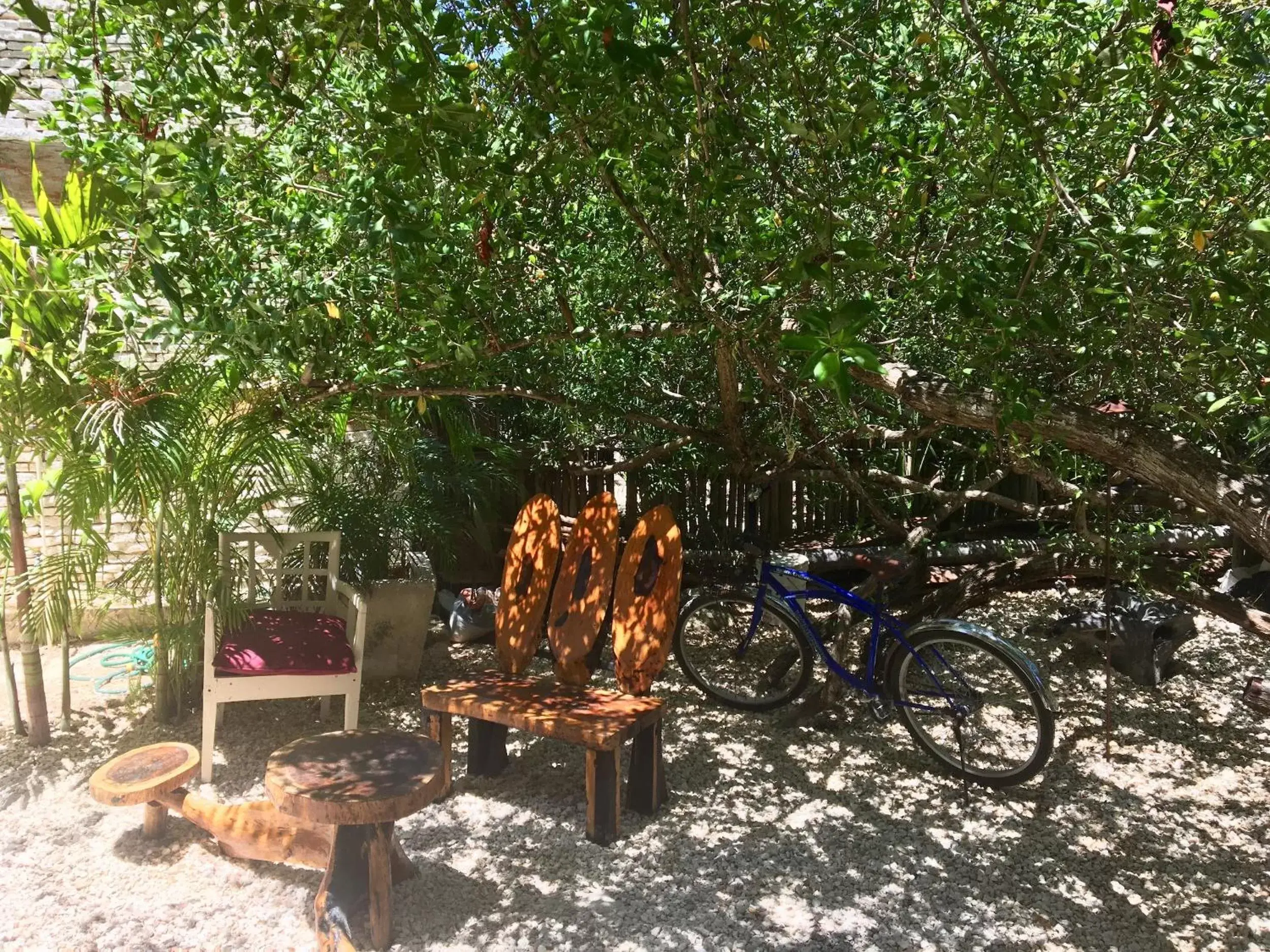 Garden in La Casa de Mia Tulum