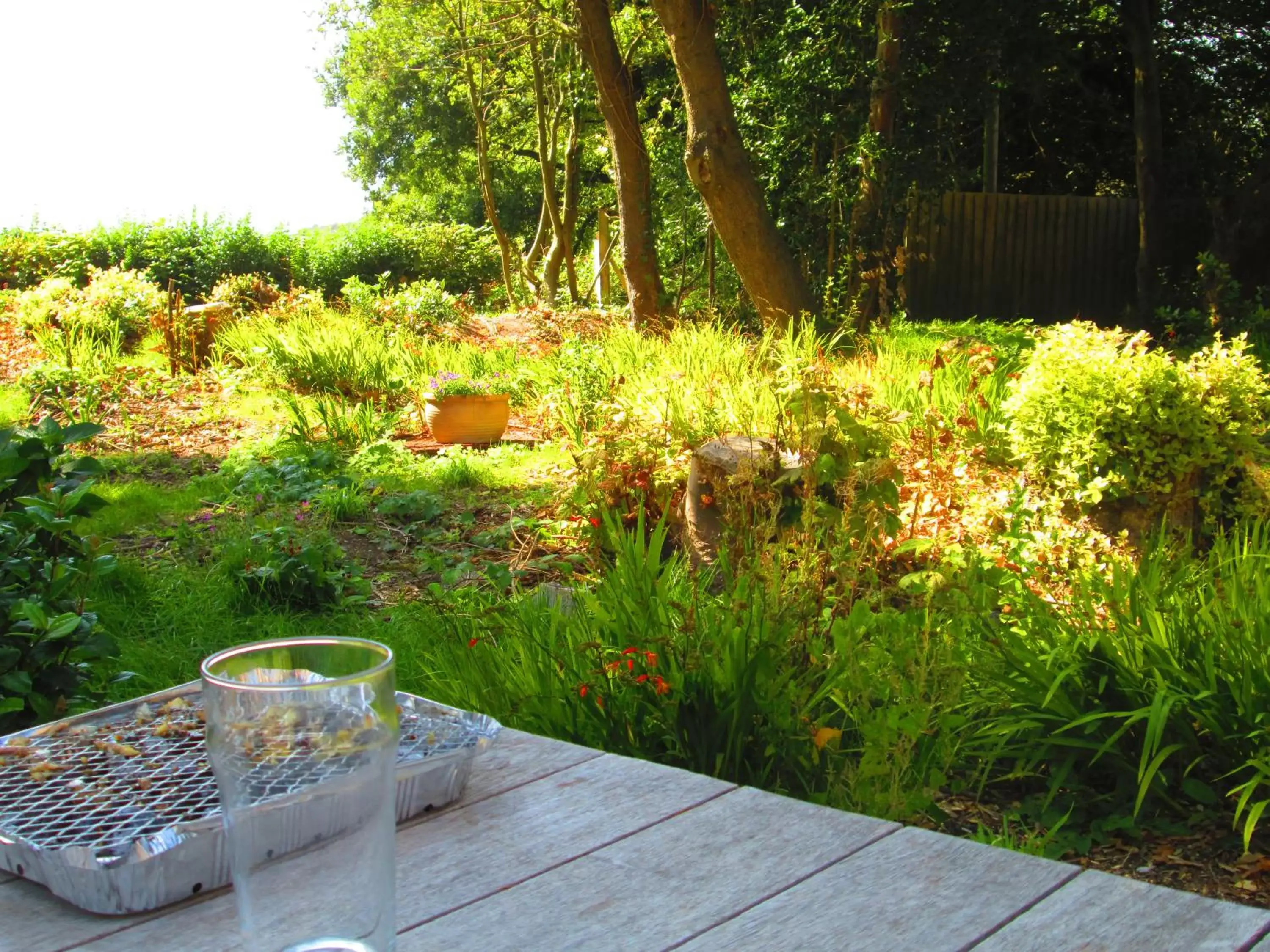 Garden in Weston Manor