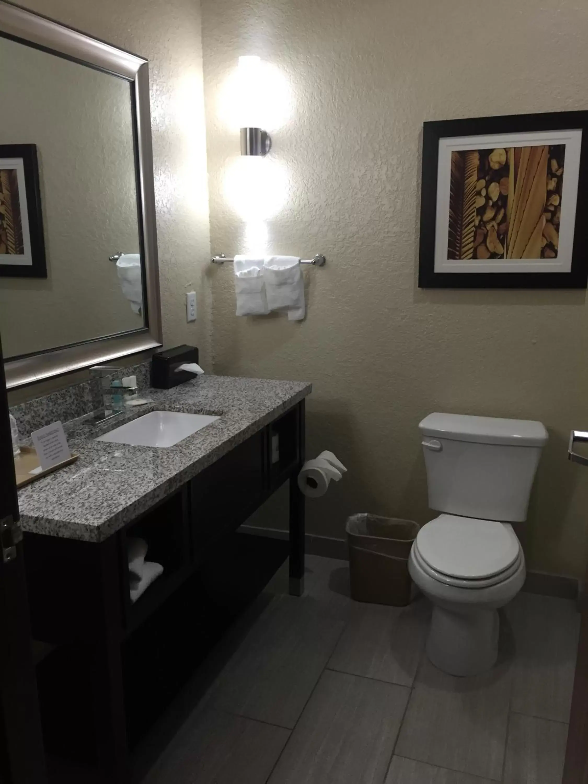 Bathroom in Comfort Inn & Suites, White Settlement-Fort Worth West, TX