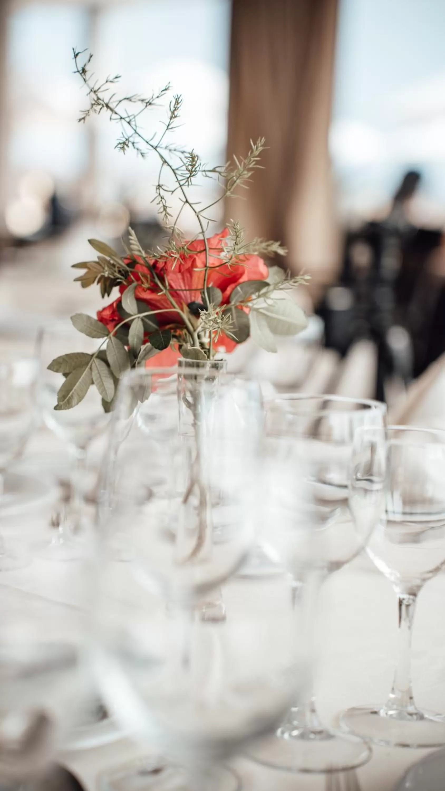 Restaurant/places to eat in Casa León Royal Retreat