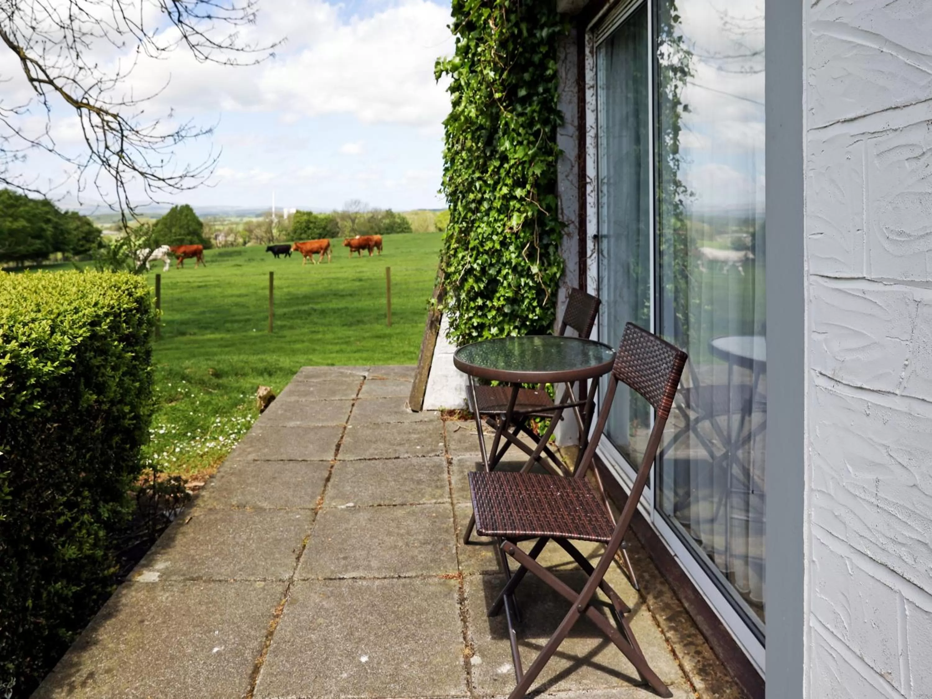 Other in Dryfesdale Hotel - BW Signature Collection