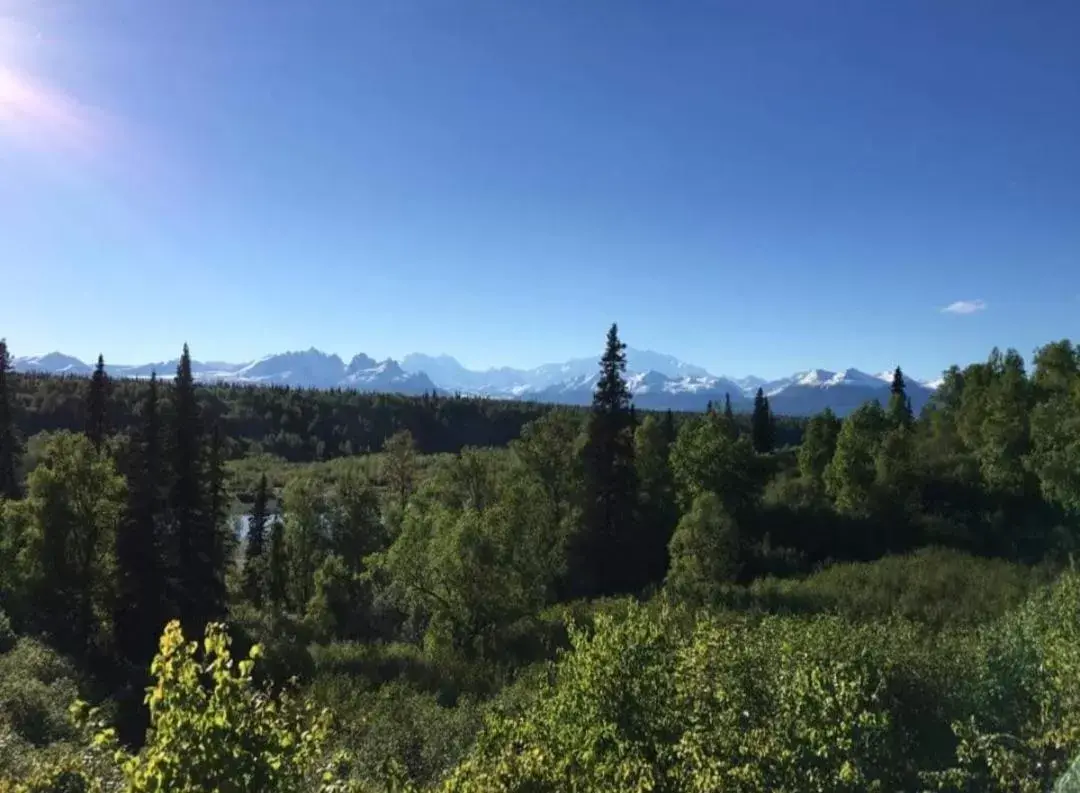 Alaska Grizzly Lodge