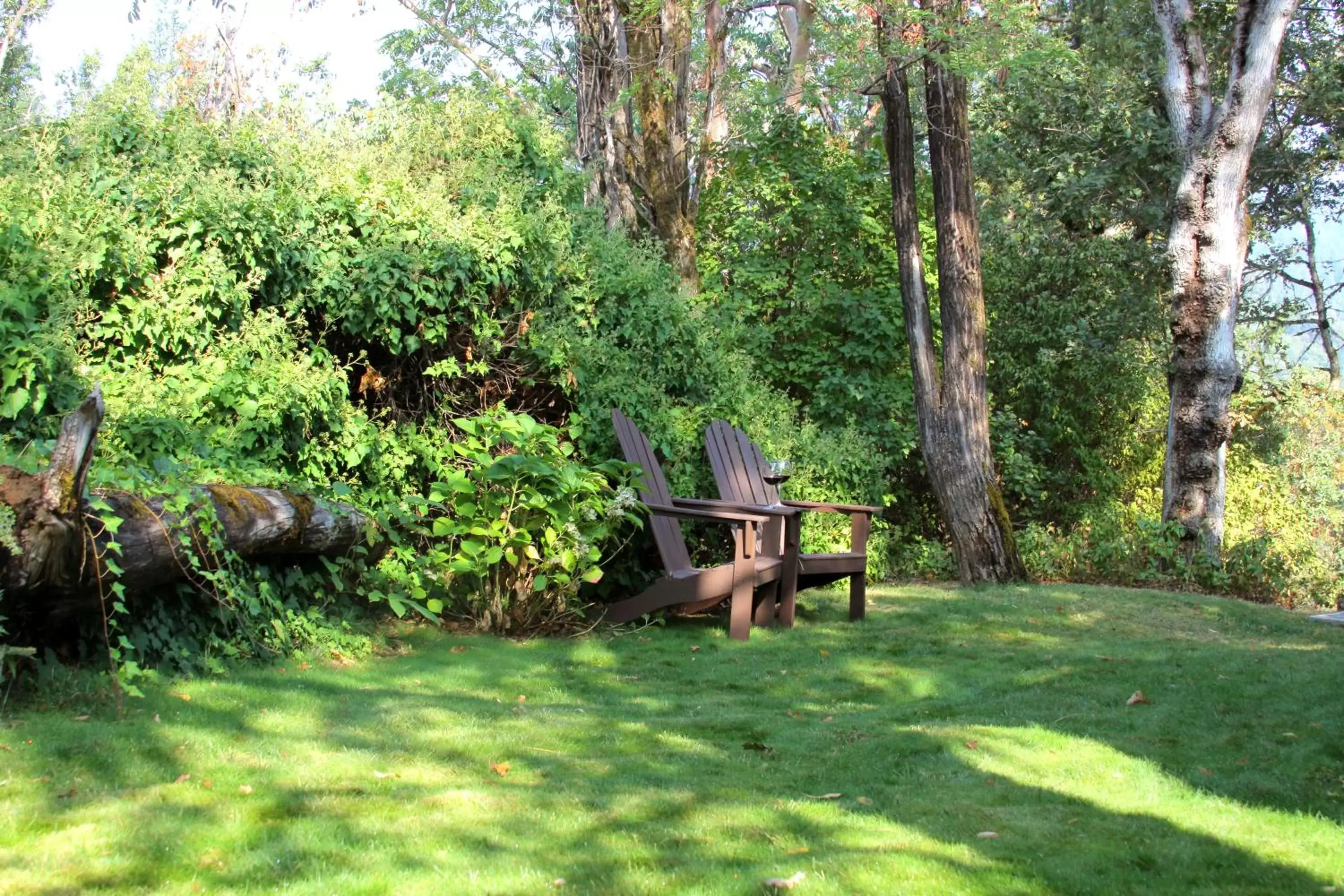 Garden in Coho Cottages