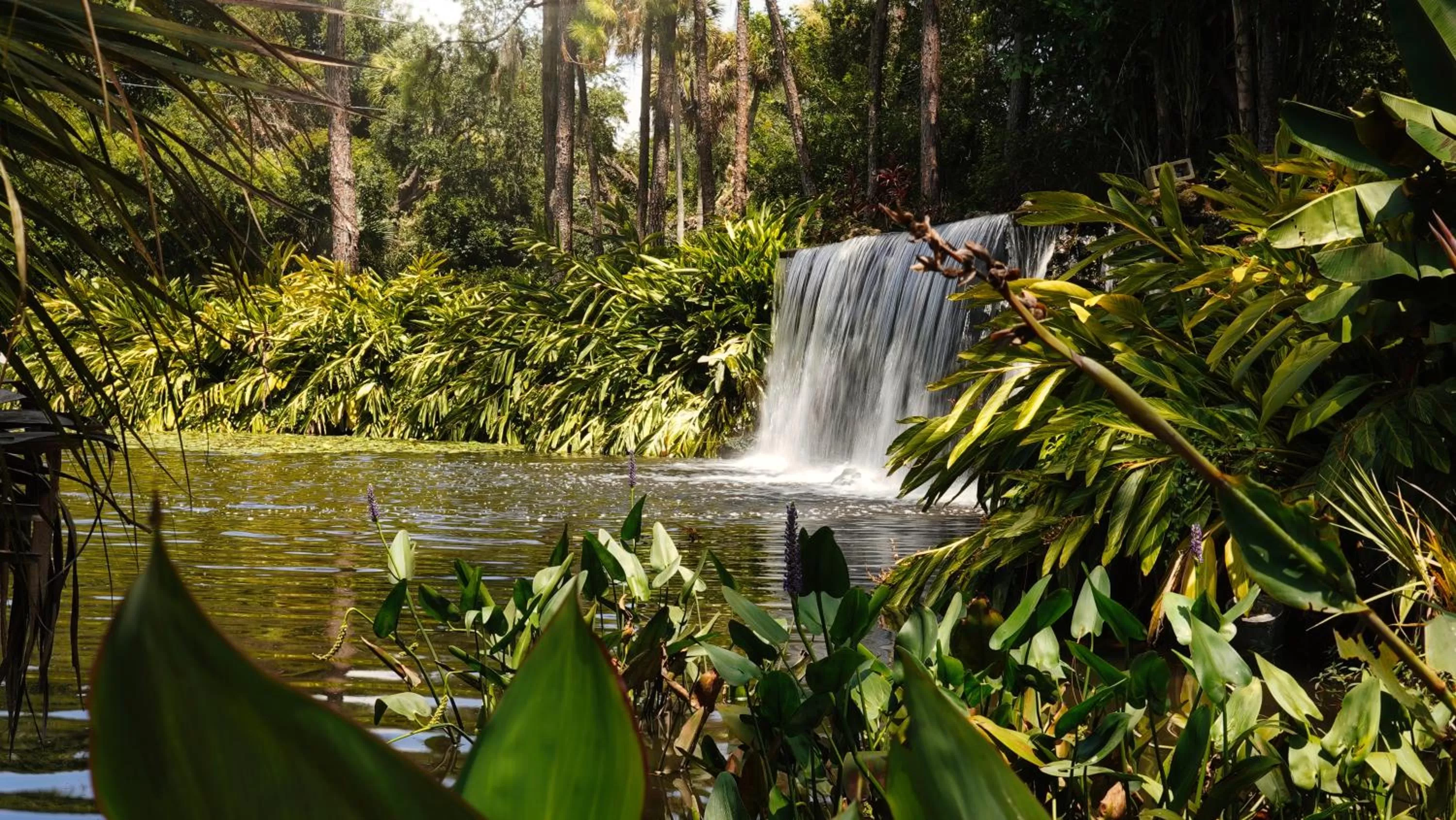 Natural landscape in Mission Resort and Club
