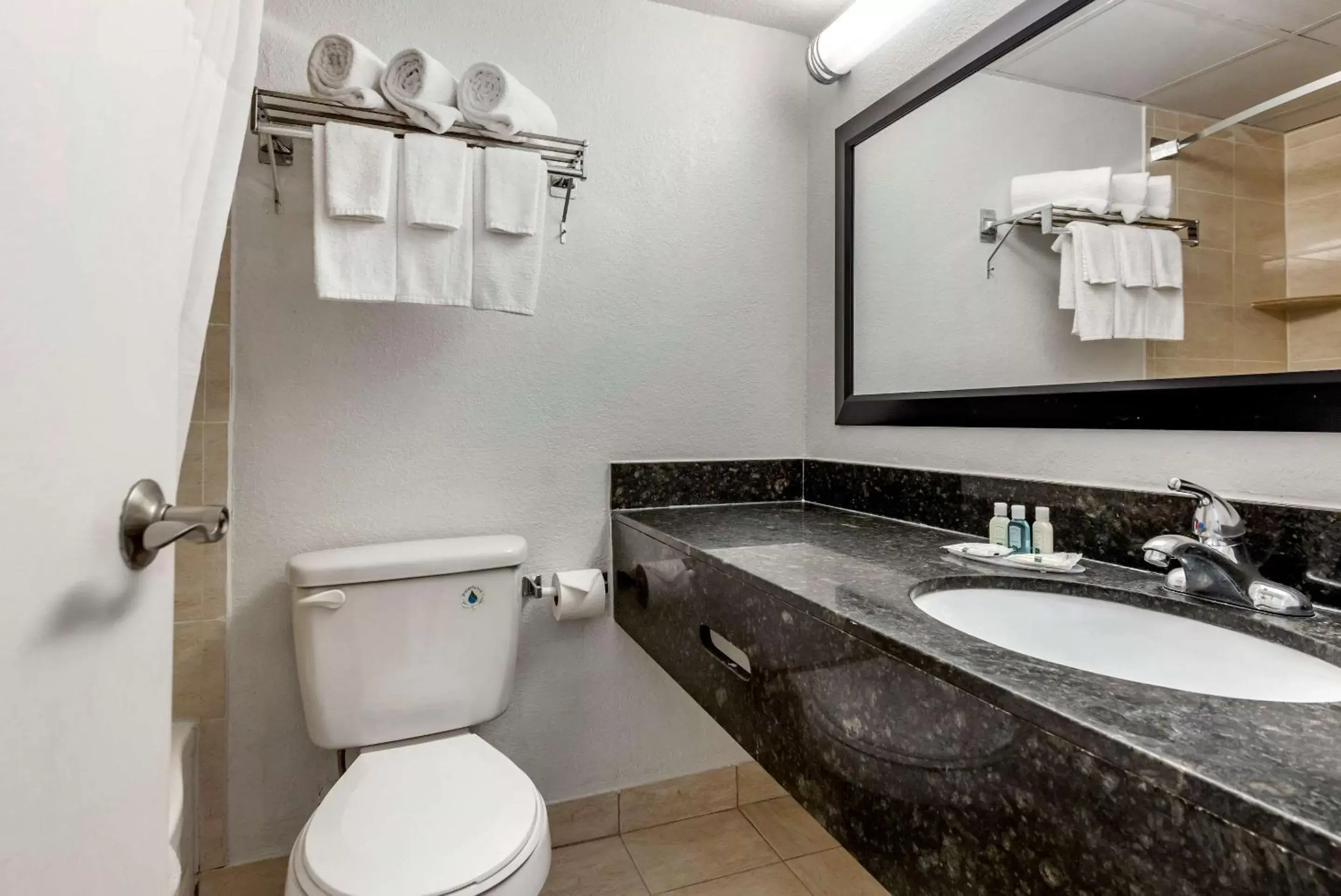 Photo of the whole room, Bathroom in Quality Inn & Suites Vestal Binghamton near University