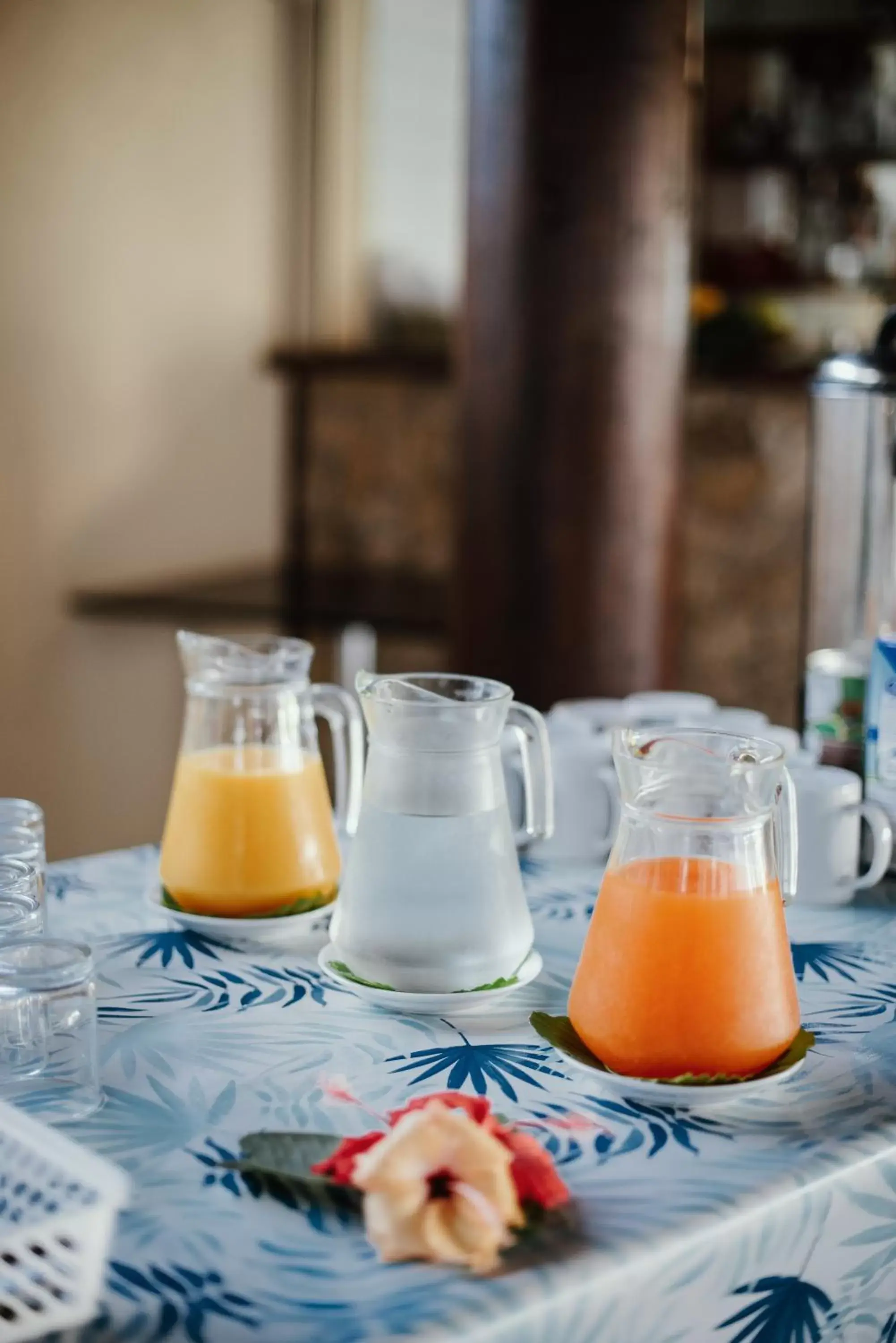 Breakfast in Kaiviti Motel Breakfast in Kaiviti Motel