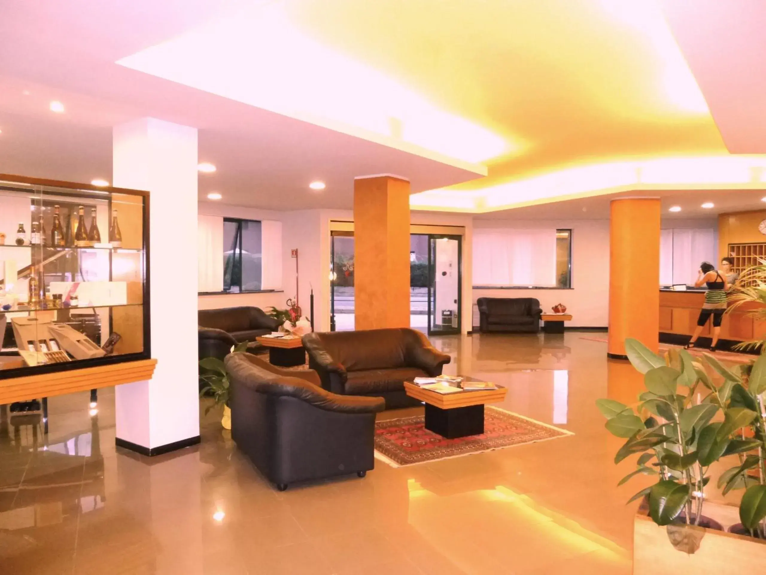 Lobby or reception, Lobby/Reception in Hotel Romanisio