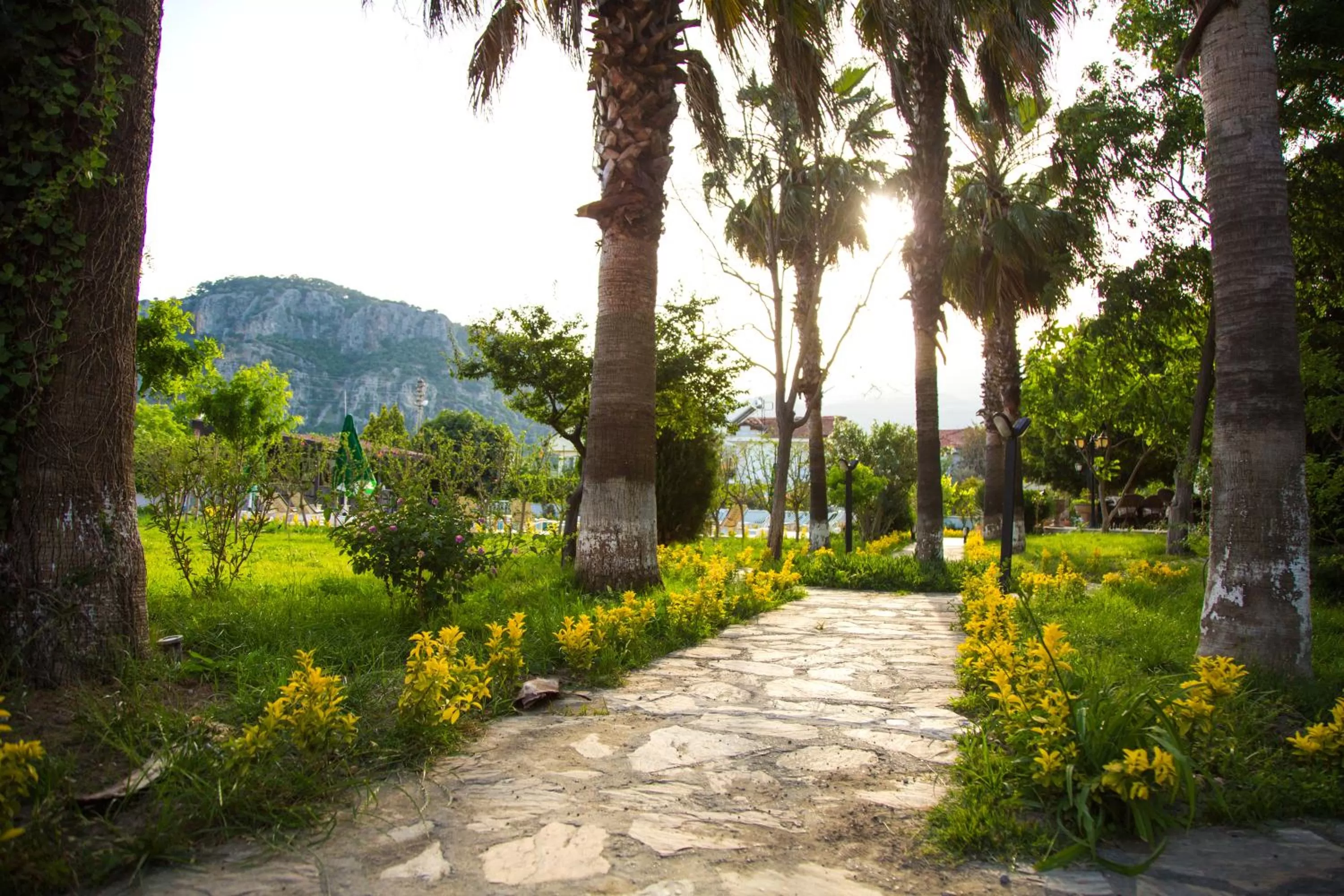 Garden in Hotel Palme Dalyan