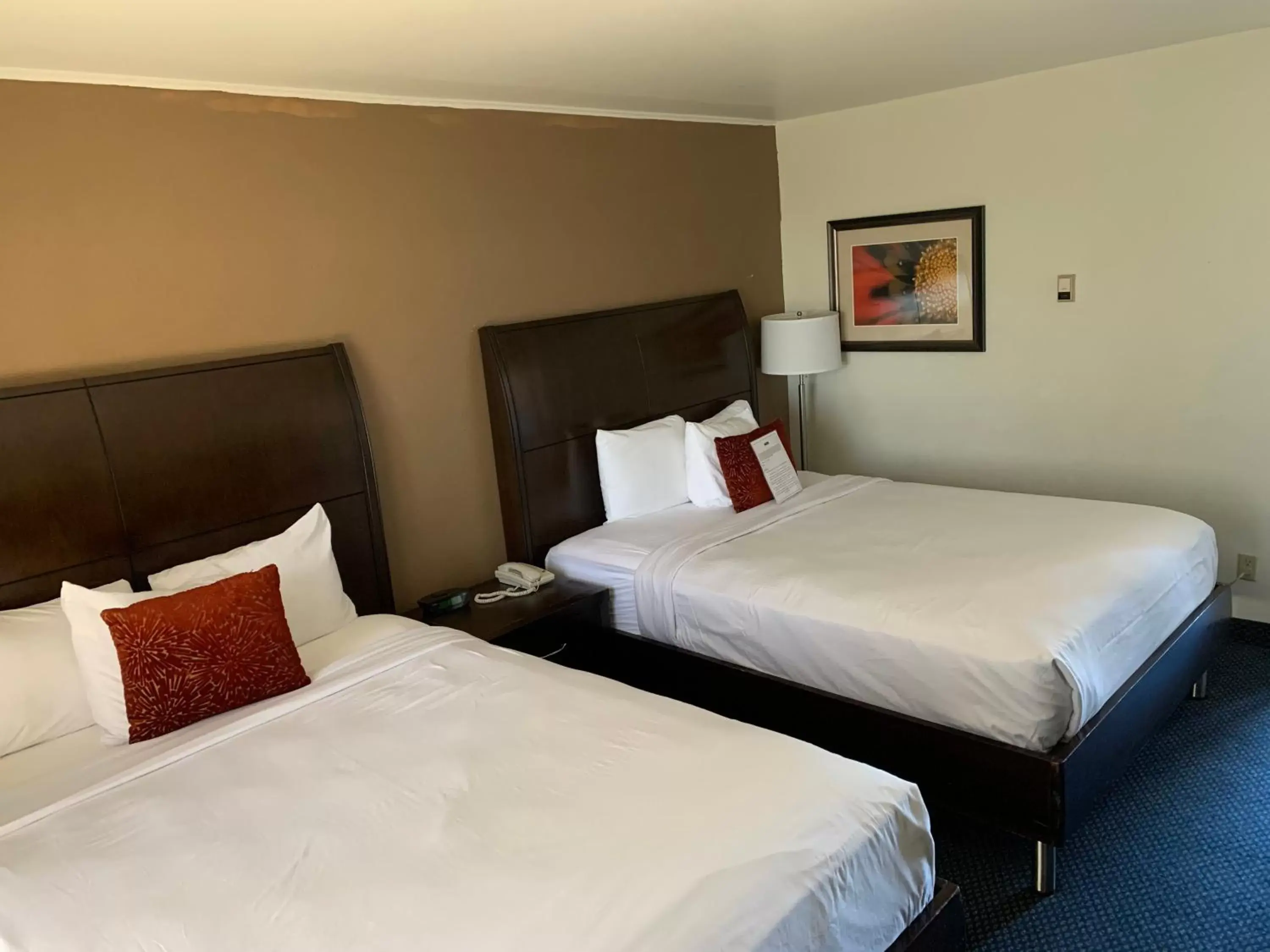 Bed in Travelodge by Wyndham Rapid City