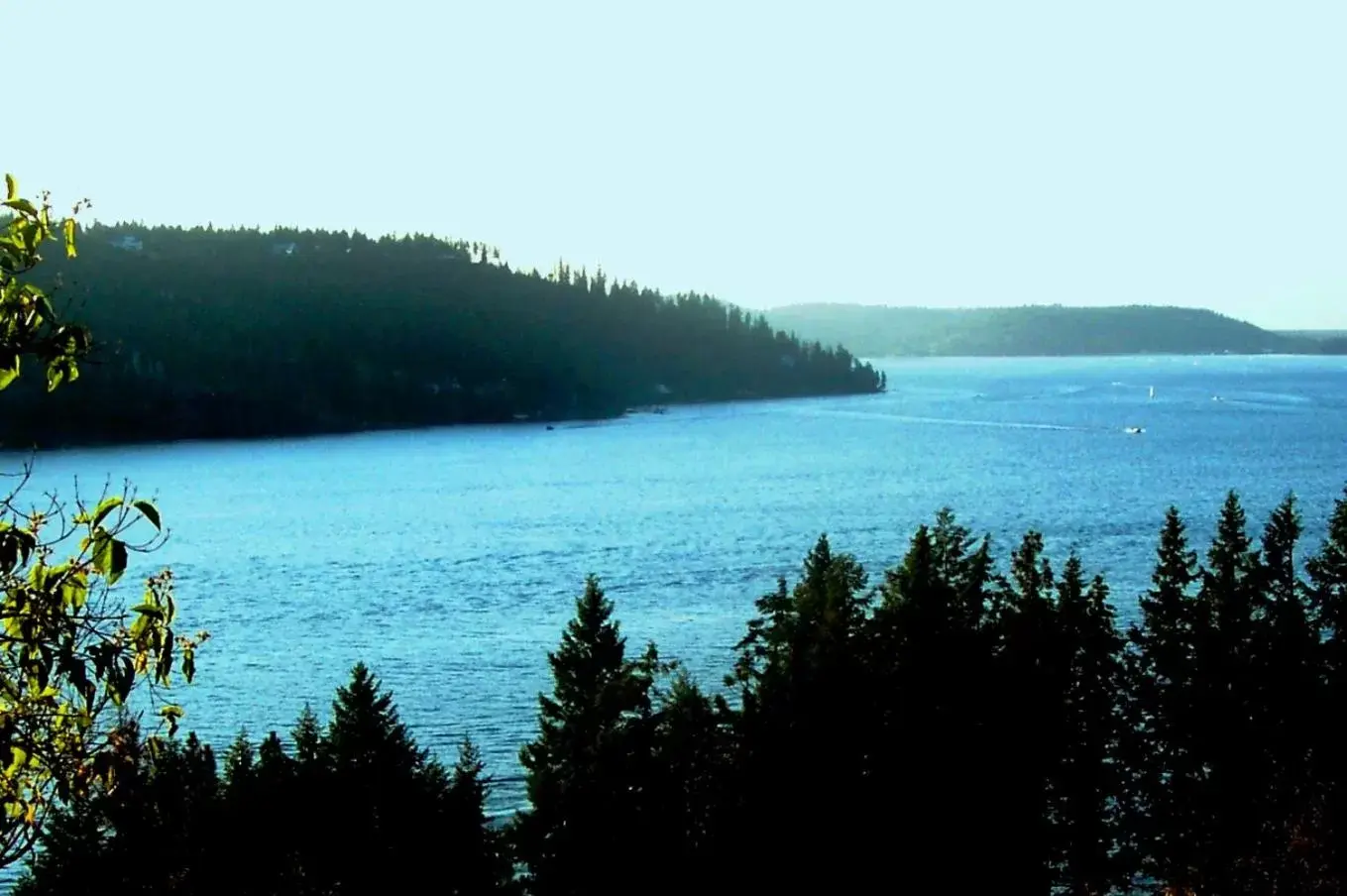 Natural landscape in FairBridge Inn - Coeur d'Alene