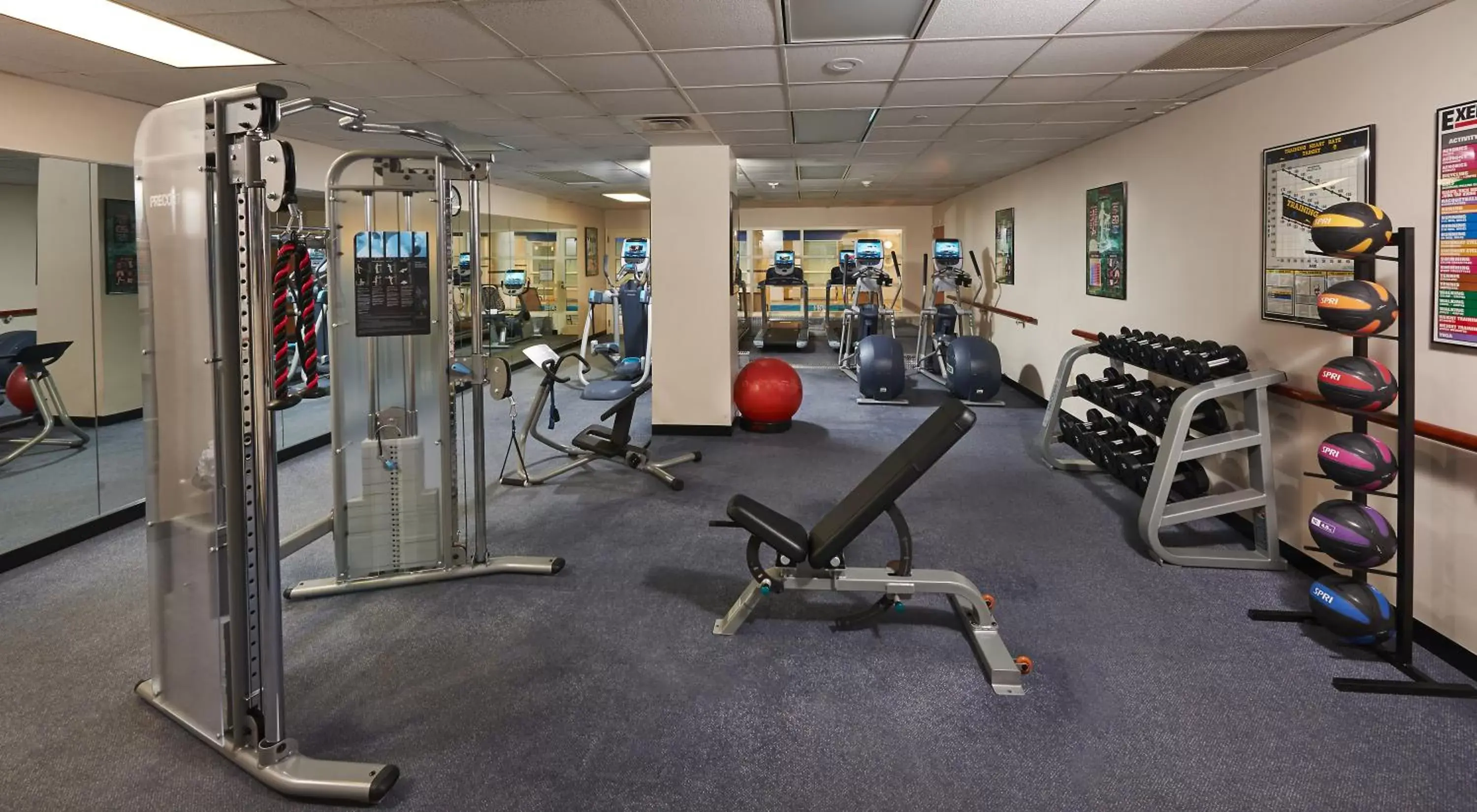 Fitness centre/facilities, Fitness Center/Facilities in The Penn Stater Hotel and Conference Center