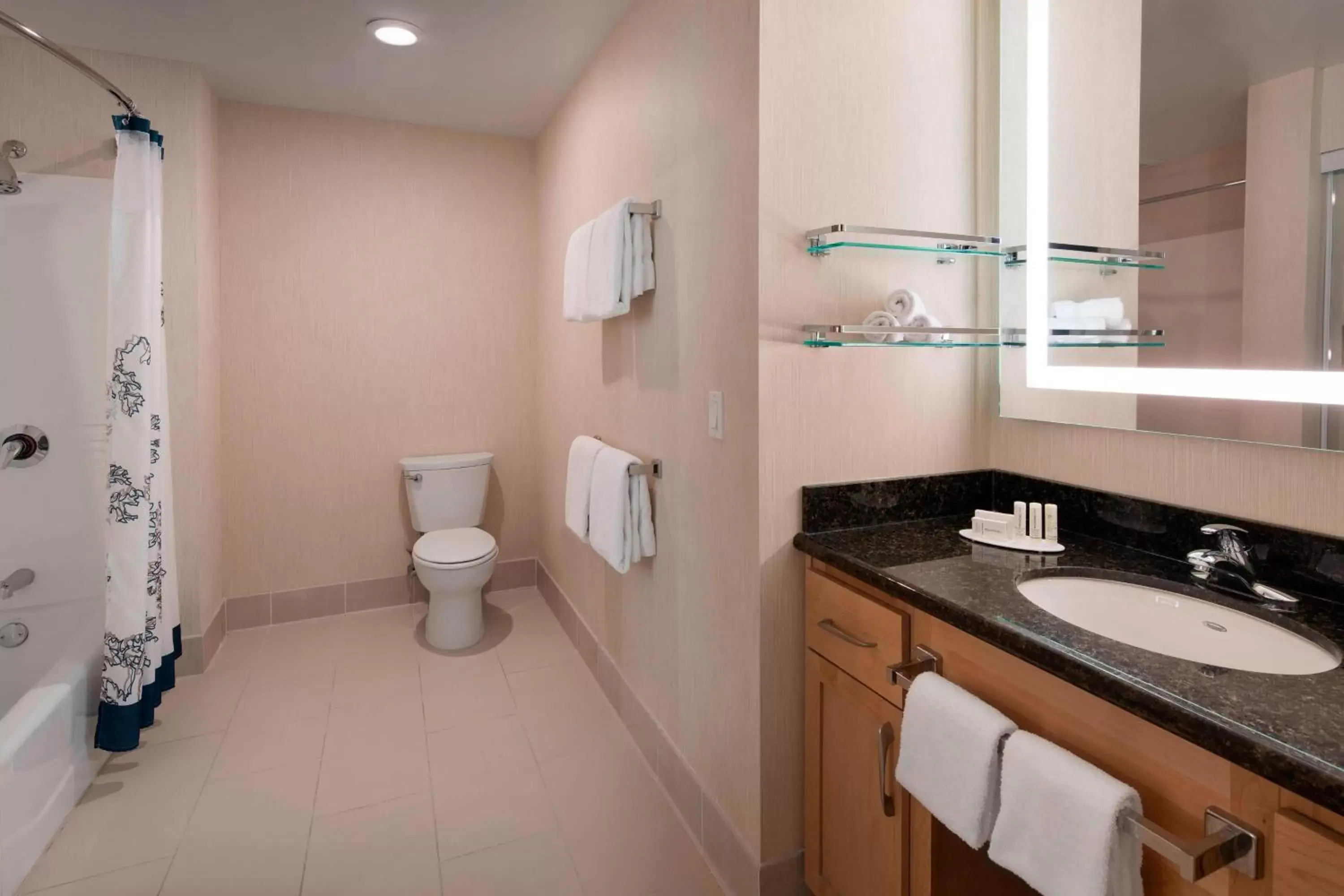 Bathroom in Residence Inn San Diego Del Mar