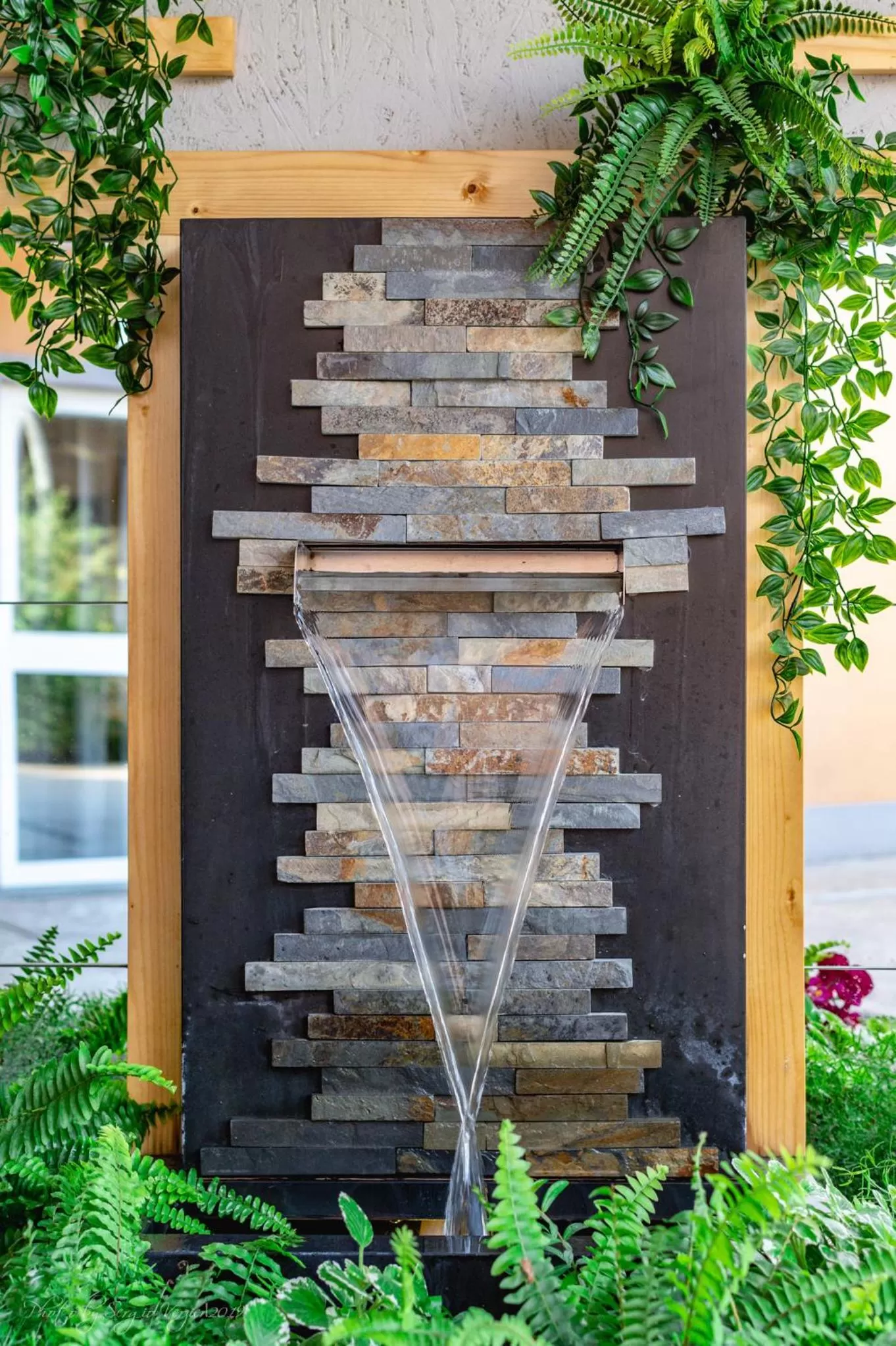 Garden in Hotel Sonia