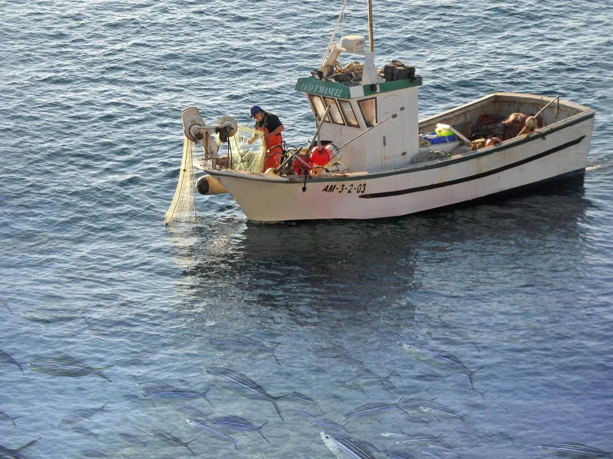 Fishing in Arrayanes Playa Almuñecar