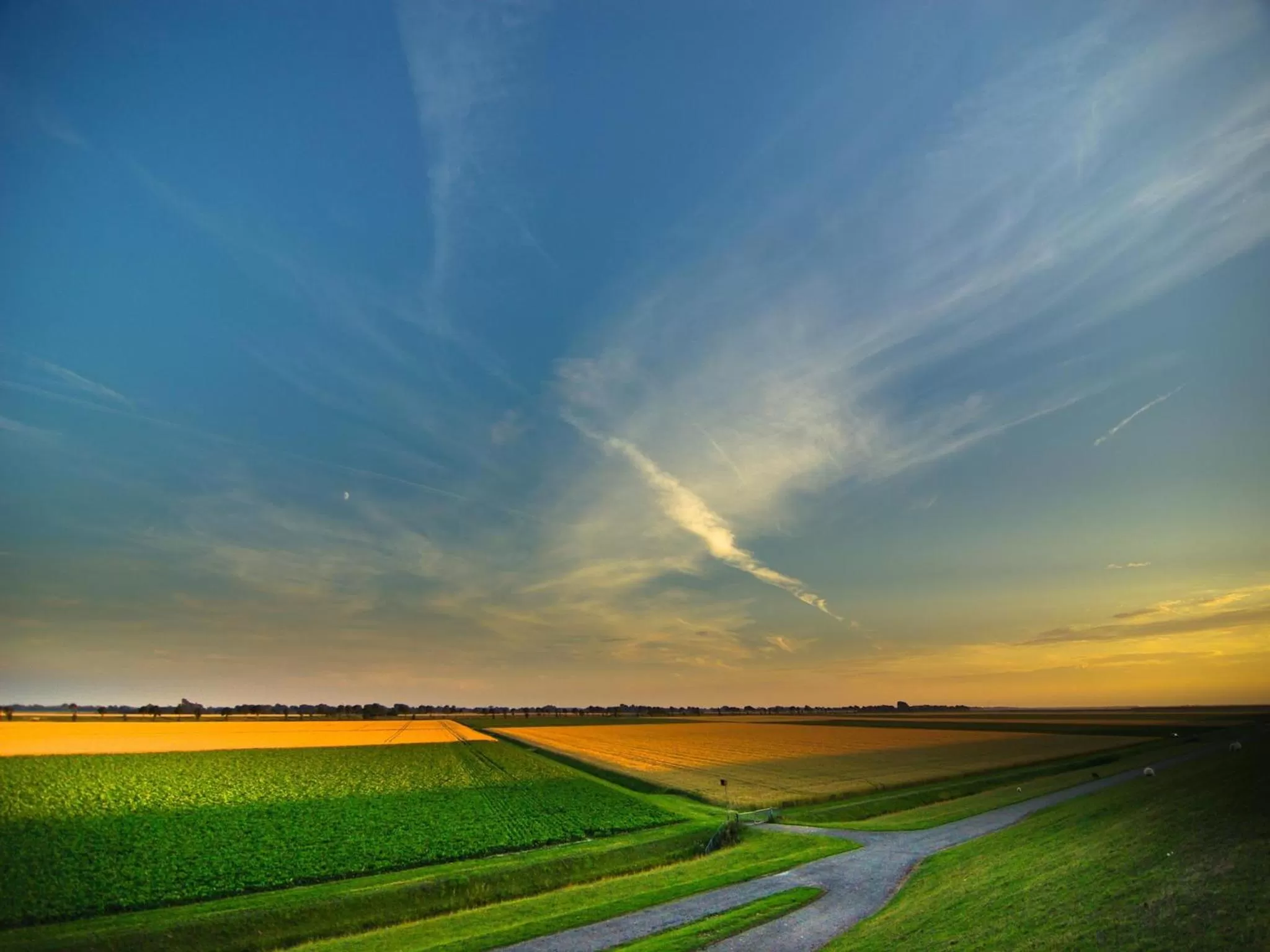 Area and facilities in Bed and Breakfast Batenborg