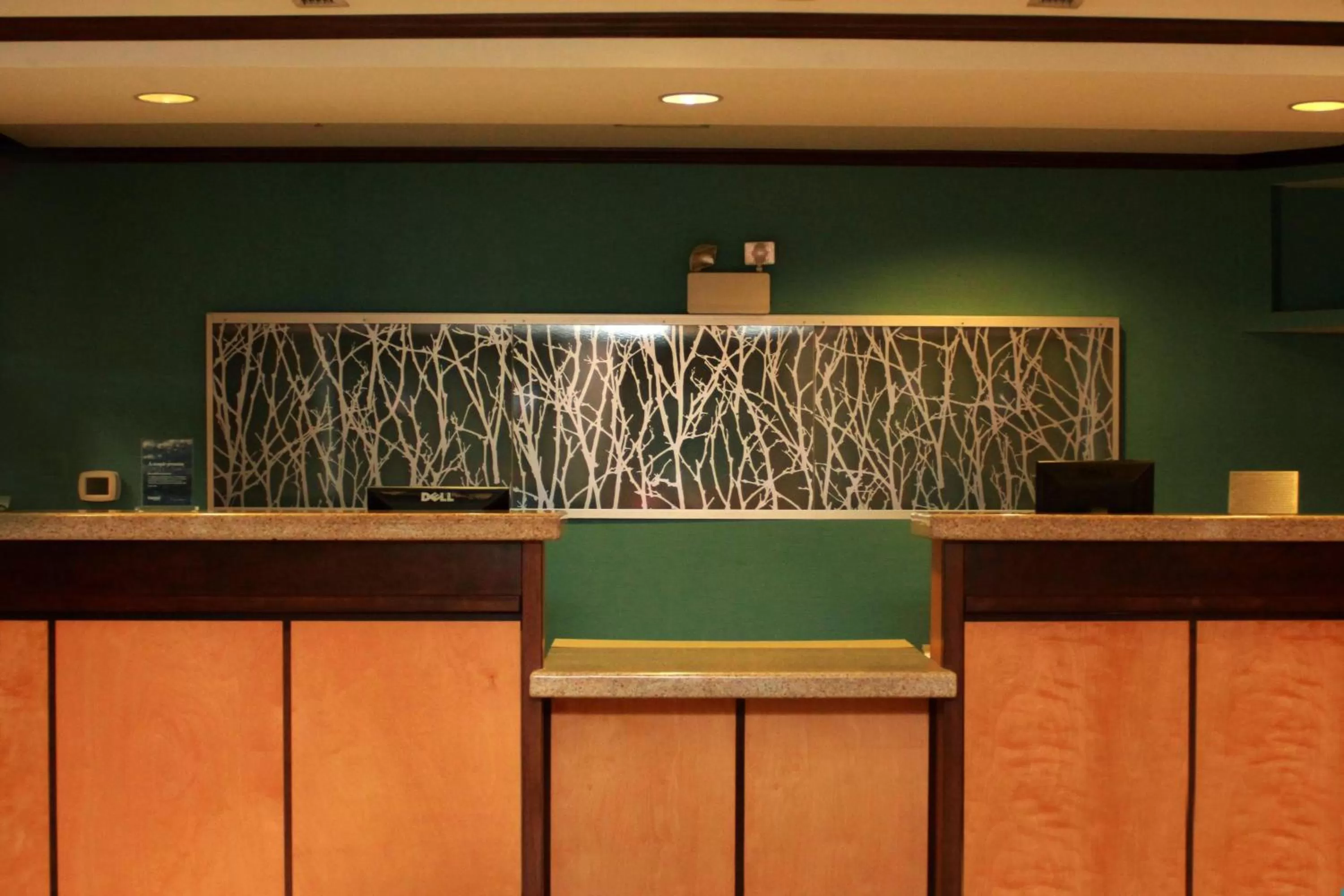 Lobby or reception in Fairfield Inn & Suites by Marriott Fairmont