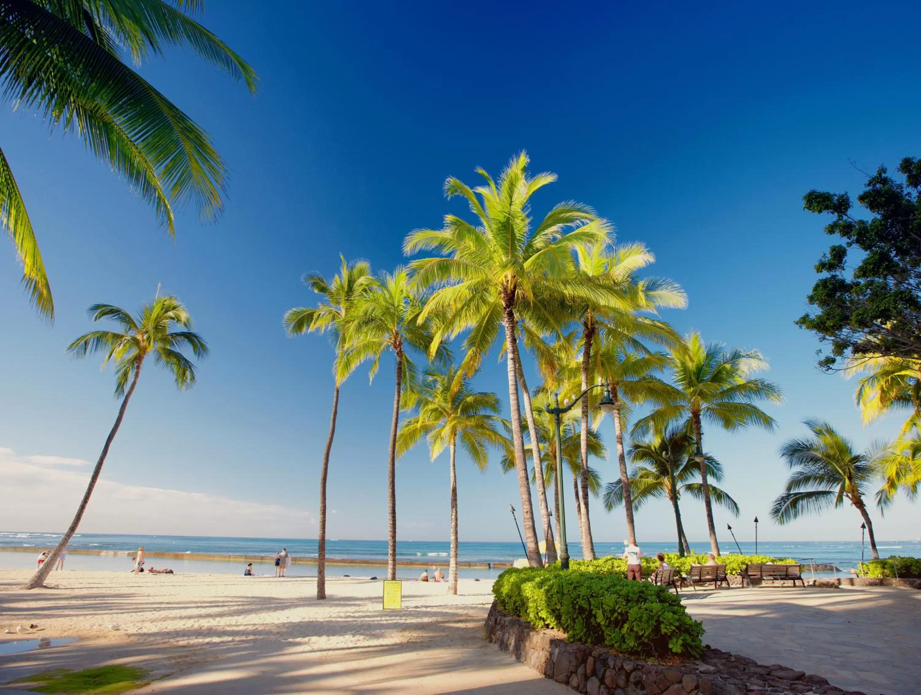 Natural landscape in Pagoda Hotel
