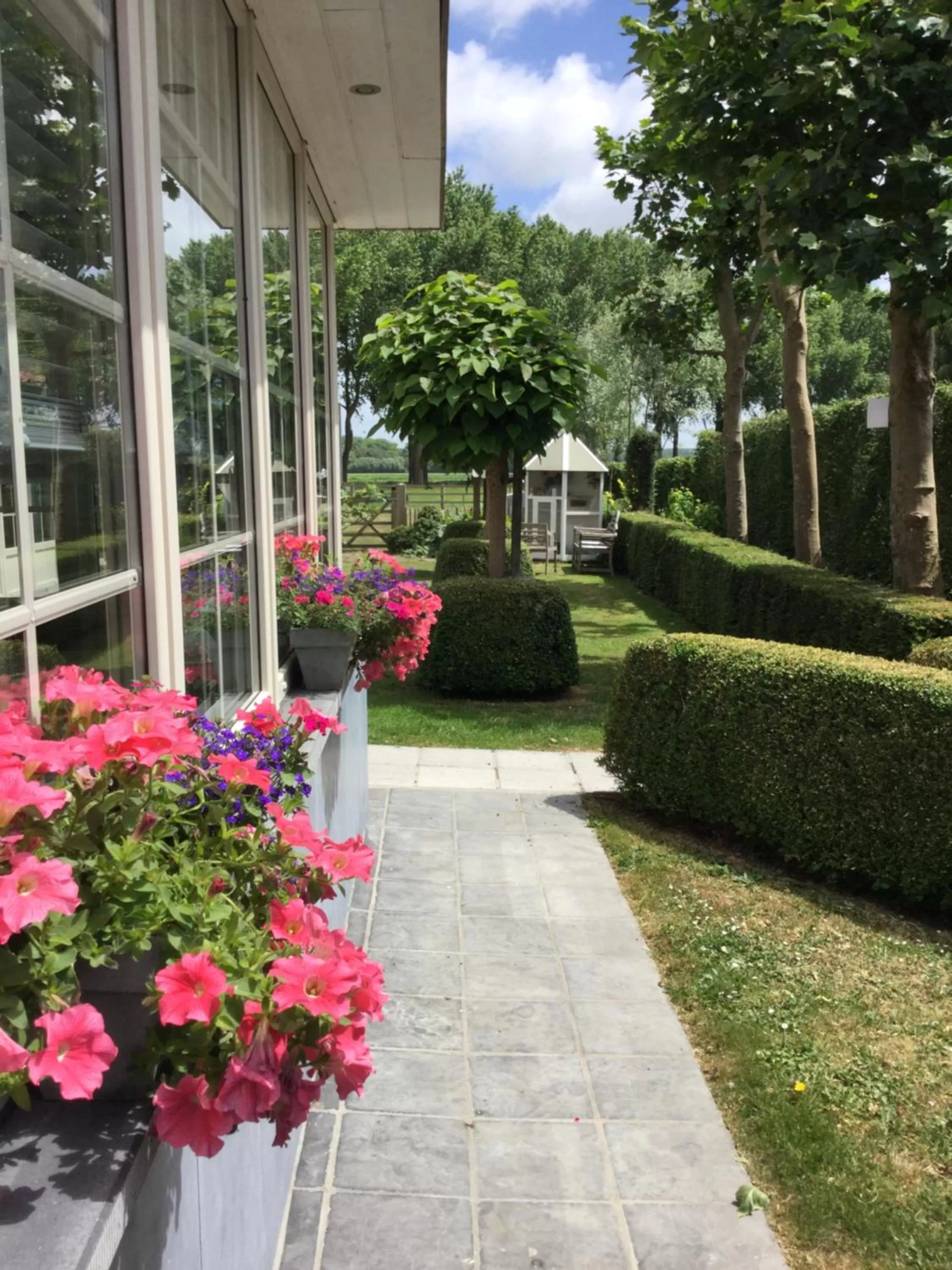 Swimming pool in Boutique hotel Het Bloemenhof