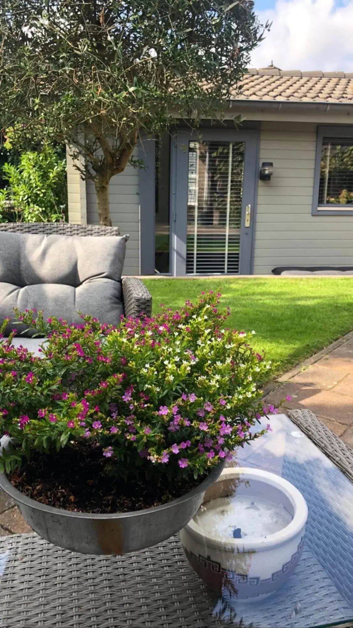 Garden in Tiny House Boatshed