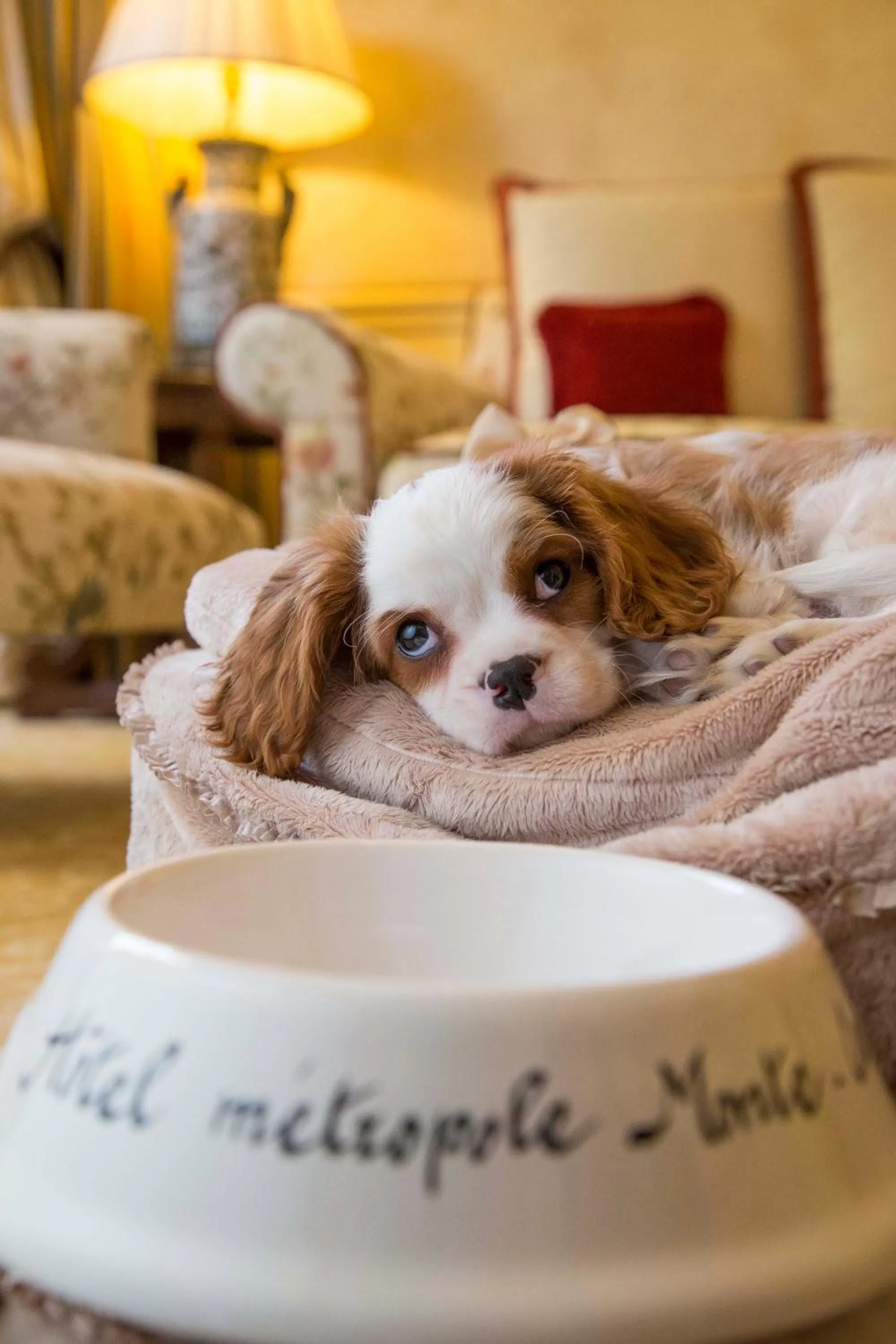 Bedroom in Hôtel Métropole Monte-Carlo - Spa Guerlain