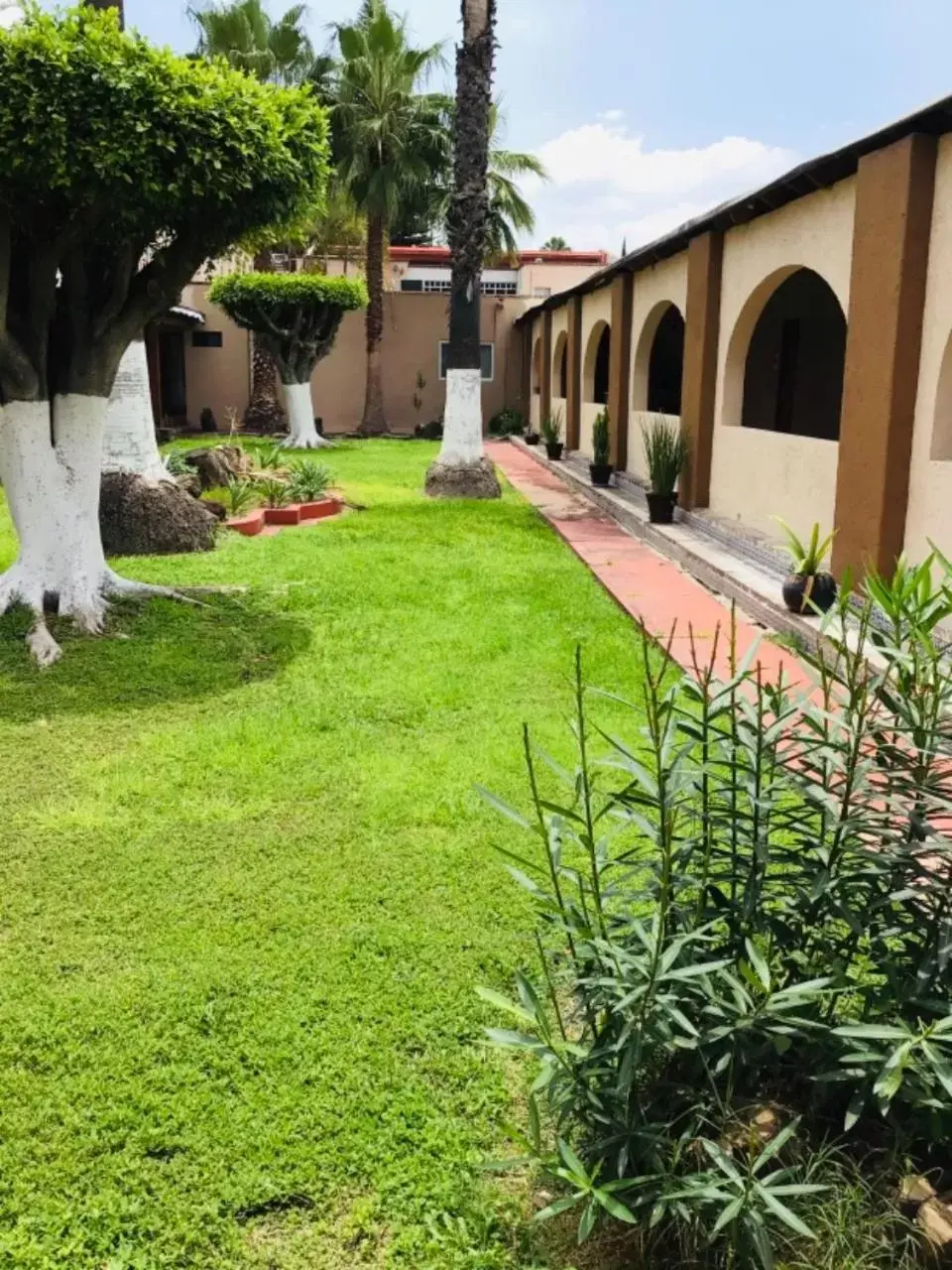 Pets, Property Building in Hotel Real de Minas Tradicional