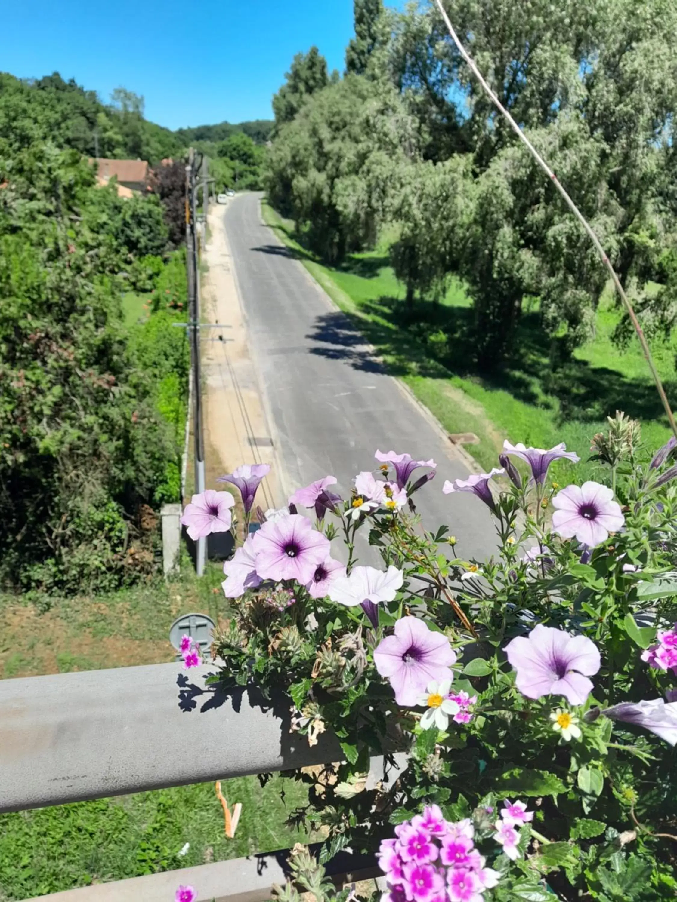 Street view in Le Perroquet Vert