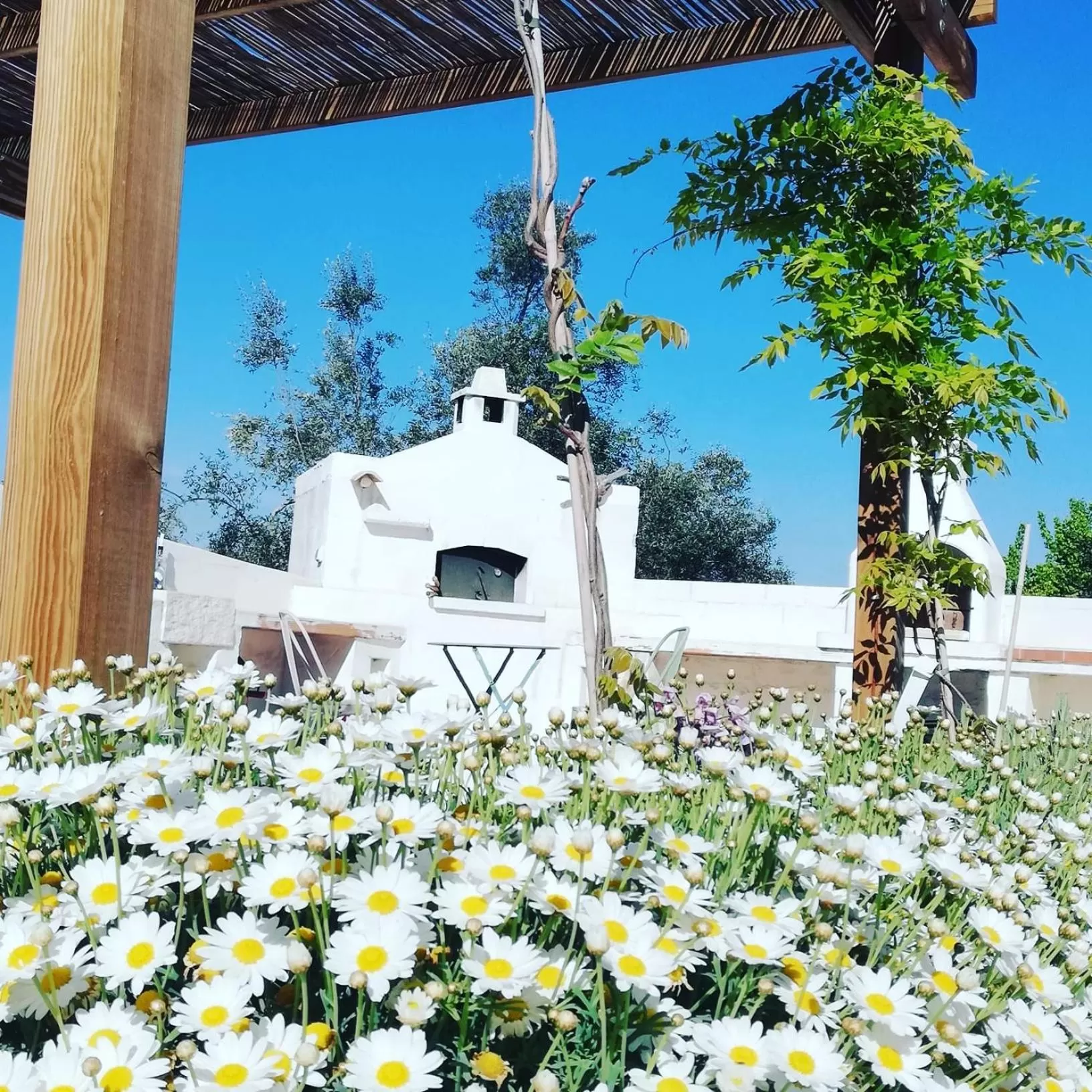 Day, Property Building in B&B Giovannarolla Green House