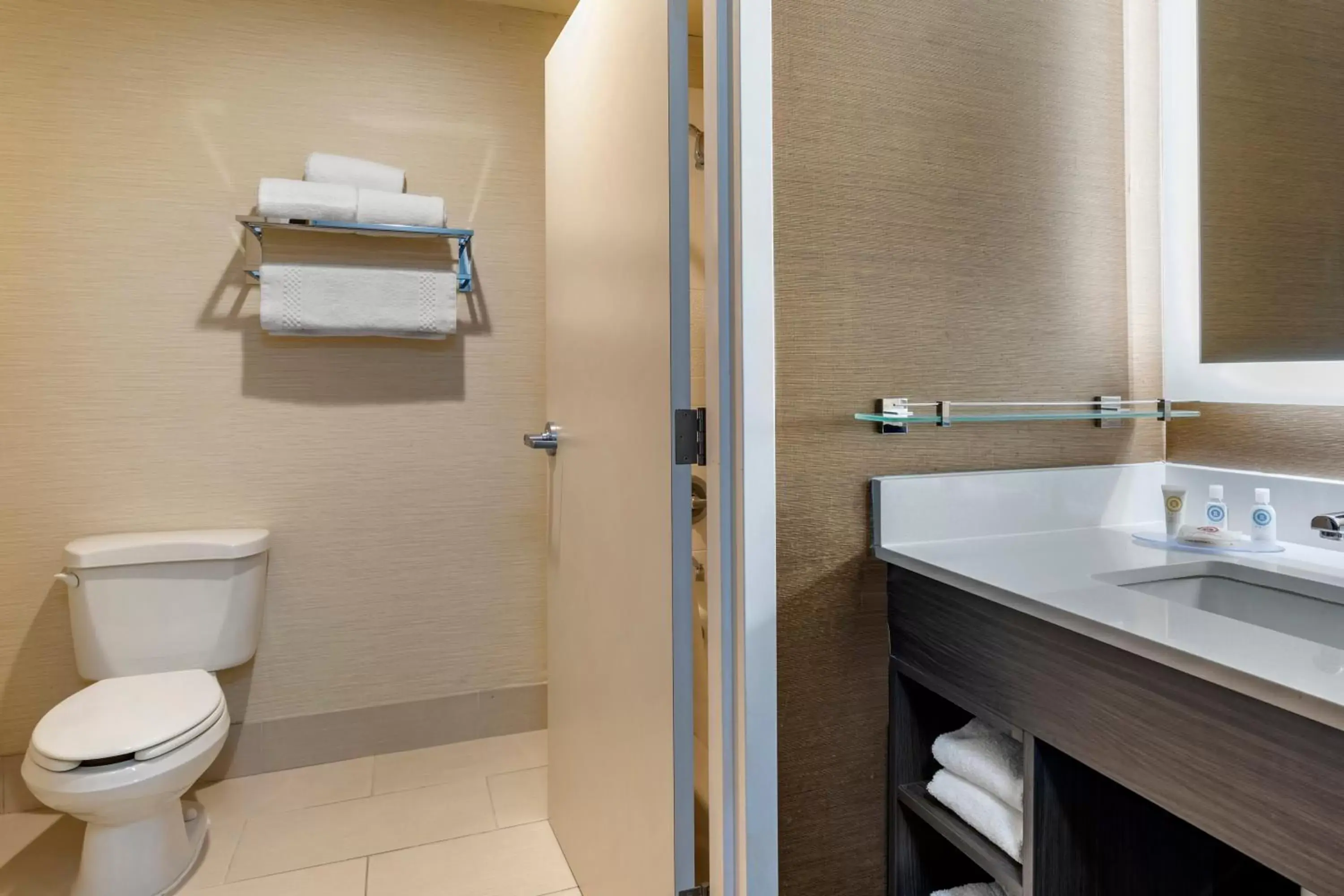 Bathroom in Comfort Inn & Suites North Dallas-Addison