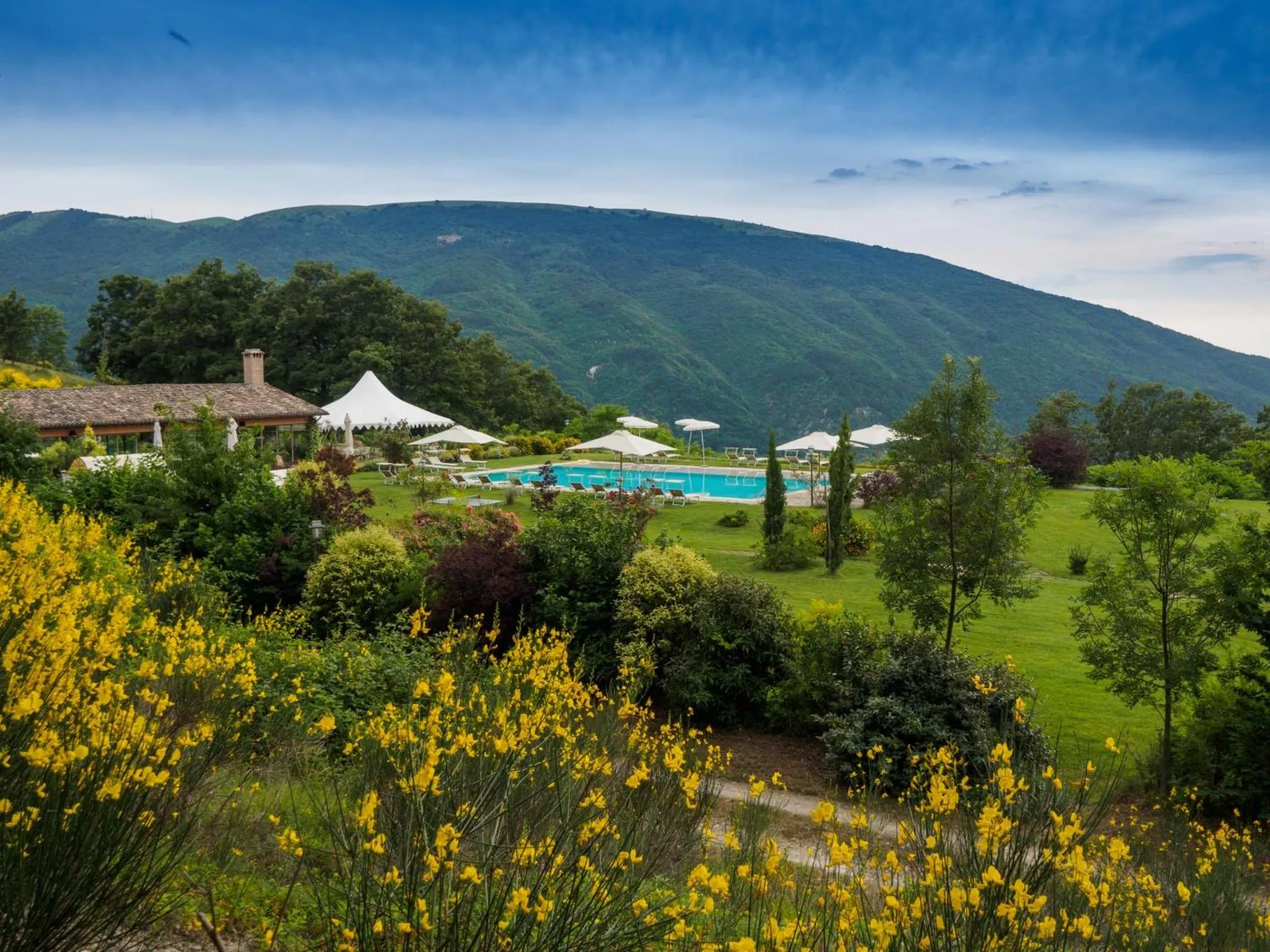 Swimming pool in Le Silve di Armenzano