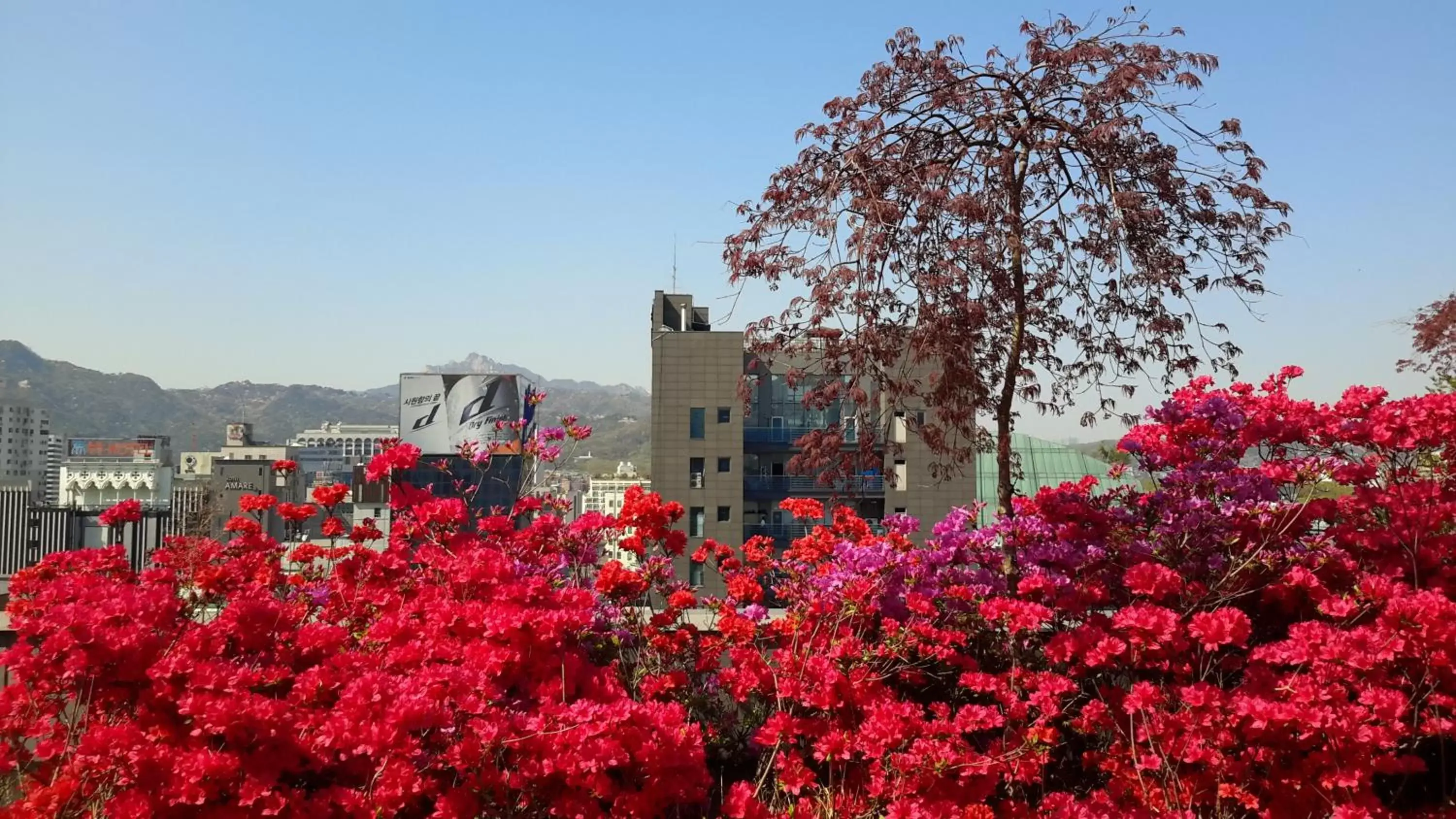 Garden view, Property Building in Rian Hotel