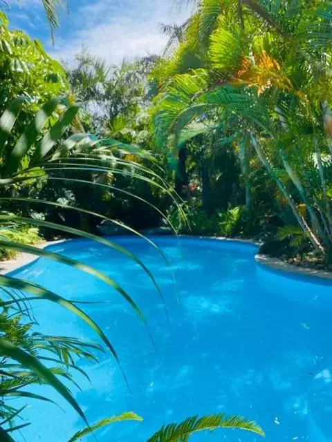 Natural landscape, Swimming Pool in Tallow Beach Motel