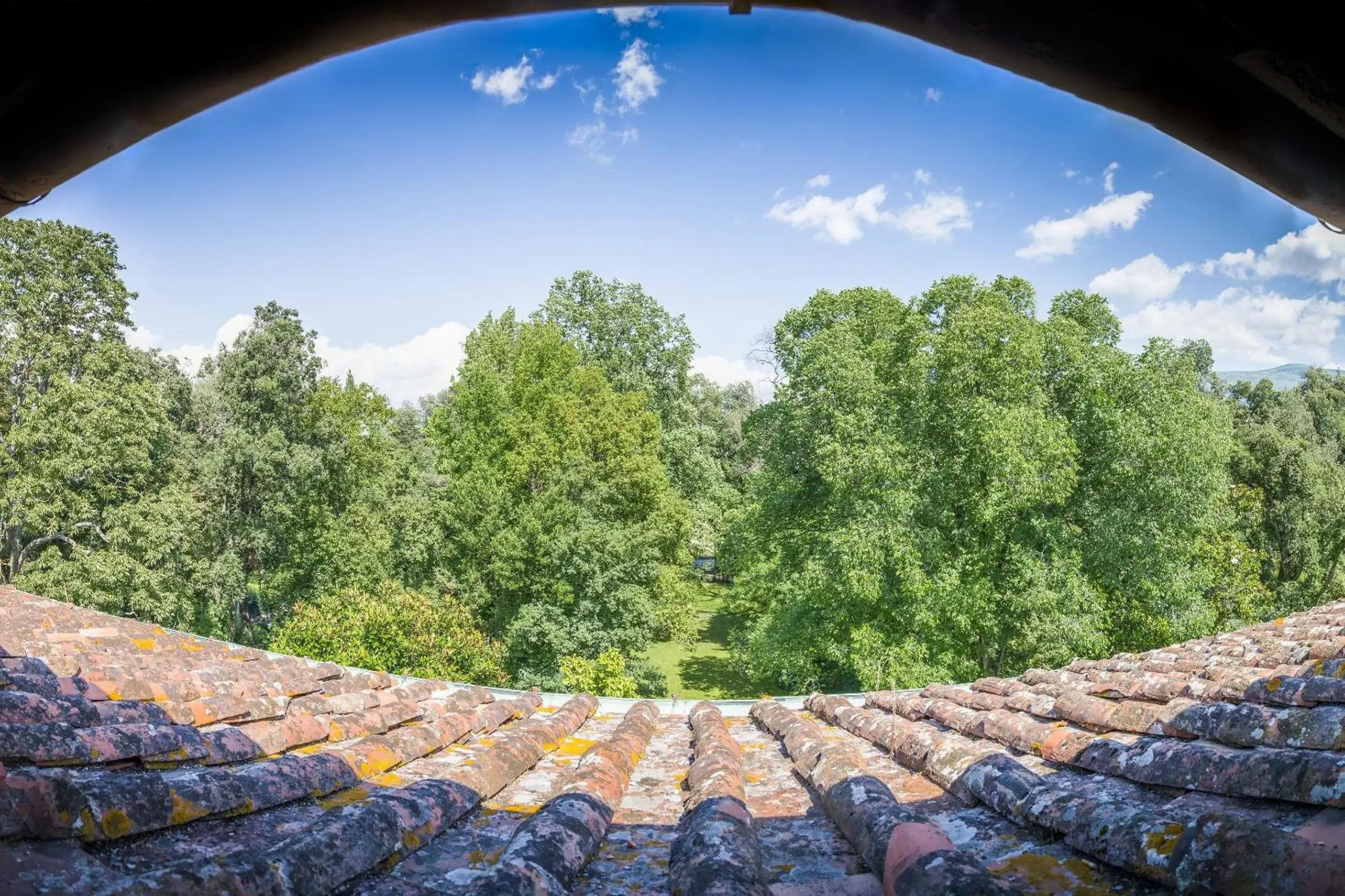 View (from property/room) in Hotel Villa La Principessa