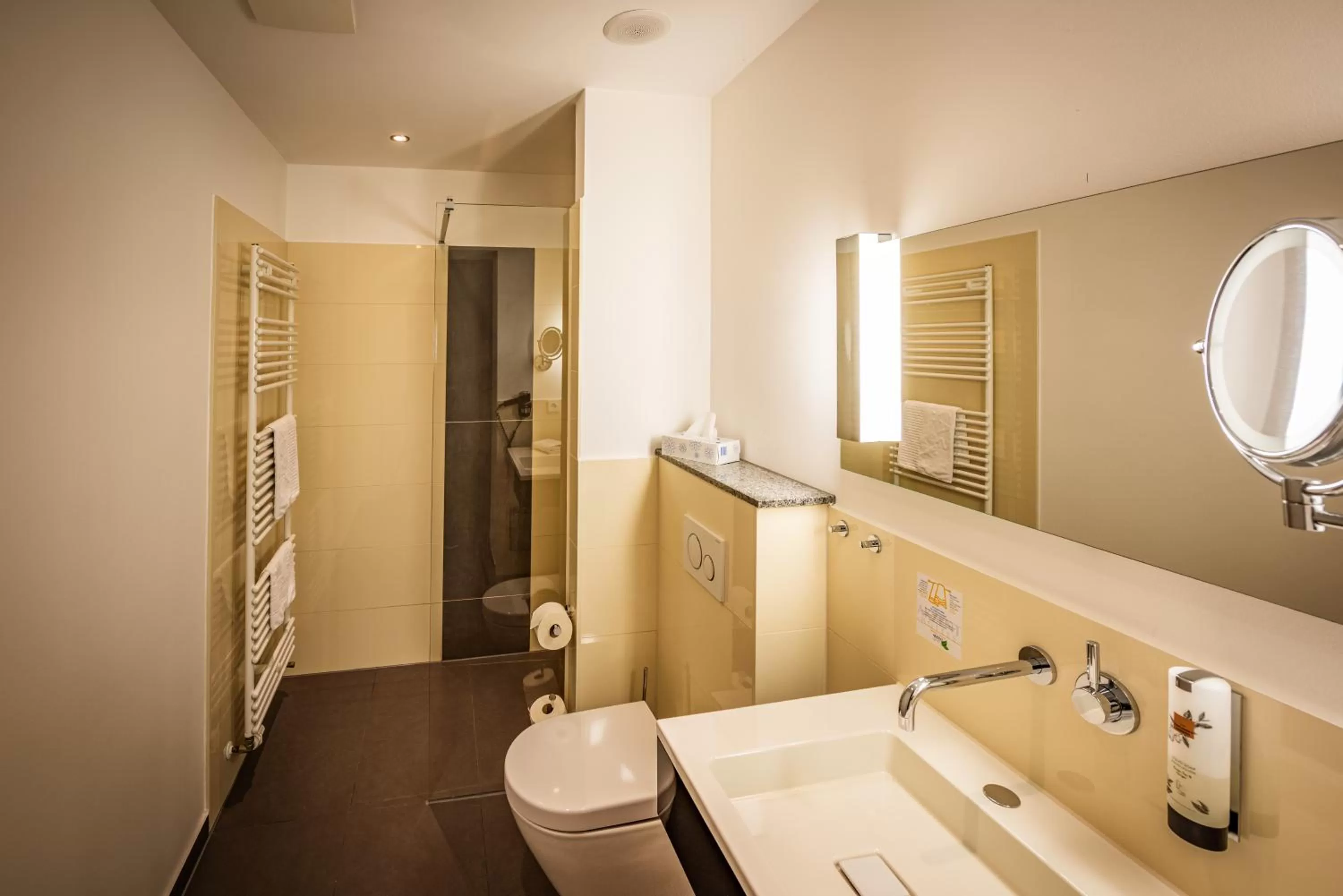 Shower in AKZENT Hotel Villa Saxer