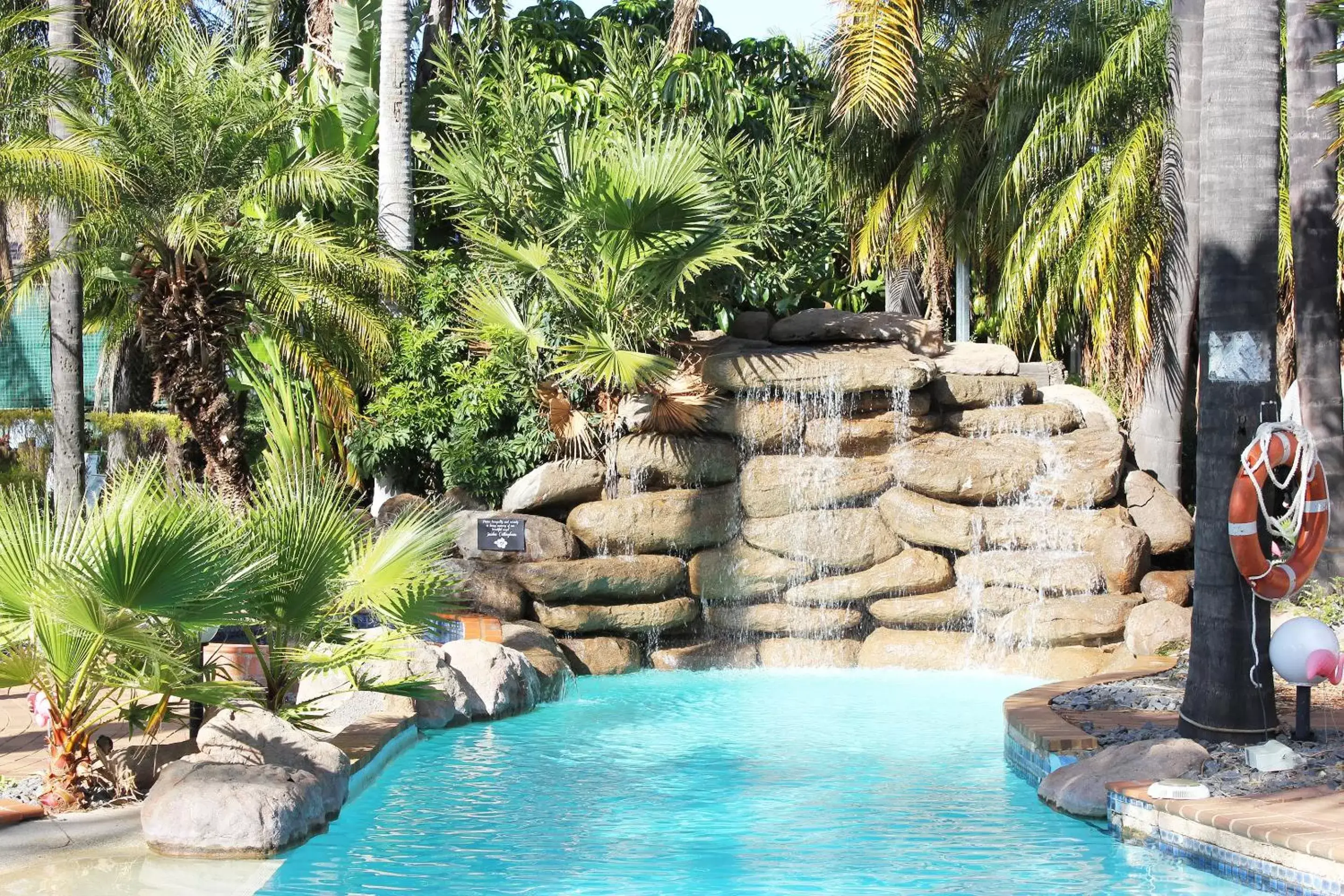 Swimming Pool in Swan Hill Resort