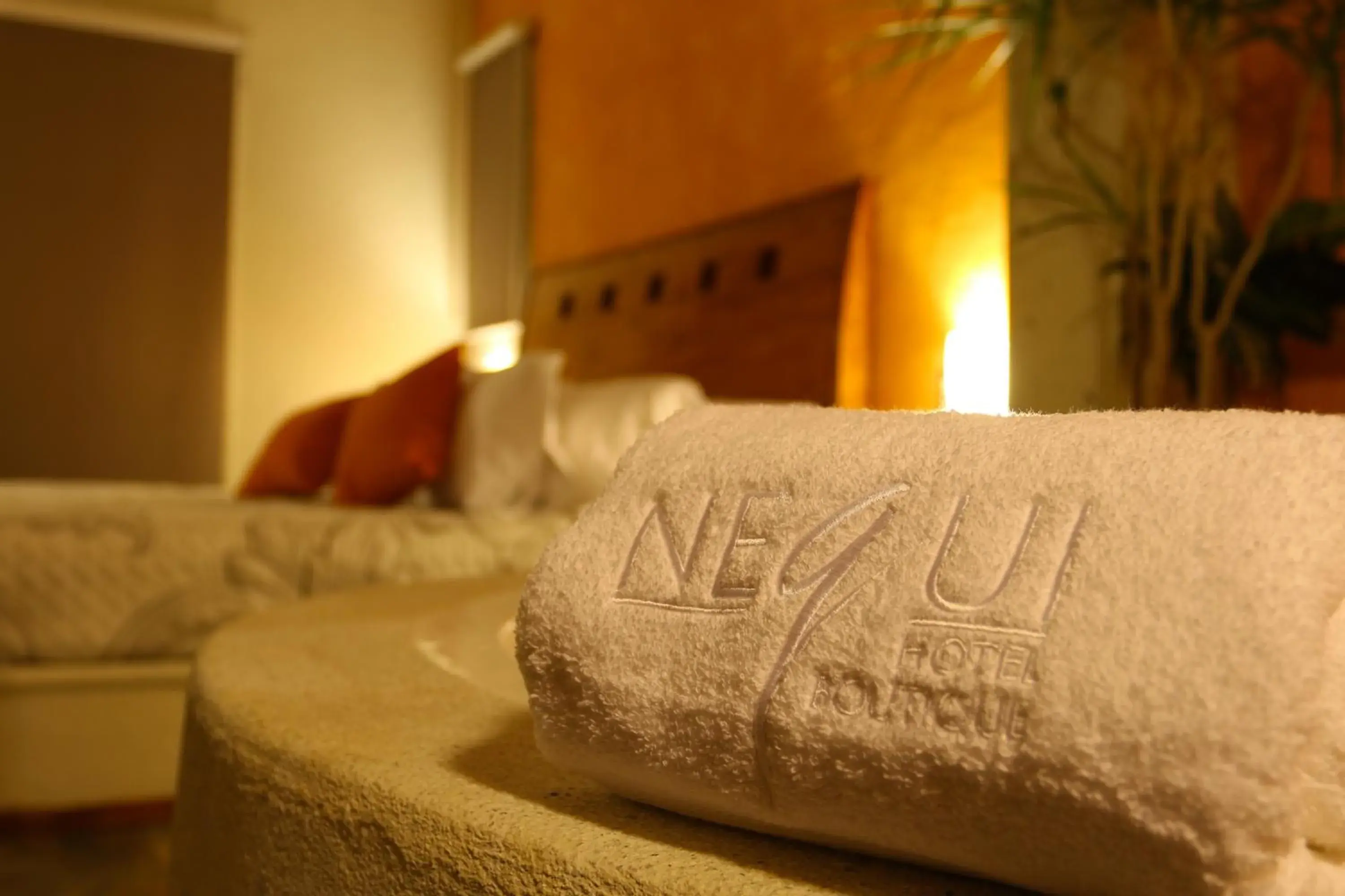 Double Room with Pool View in Nequi Hotel Boutique
