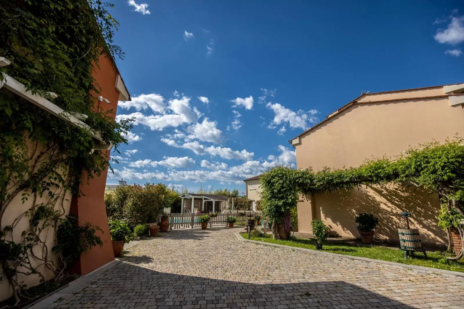 Swimming pool in Il Tremarino