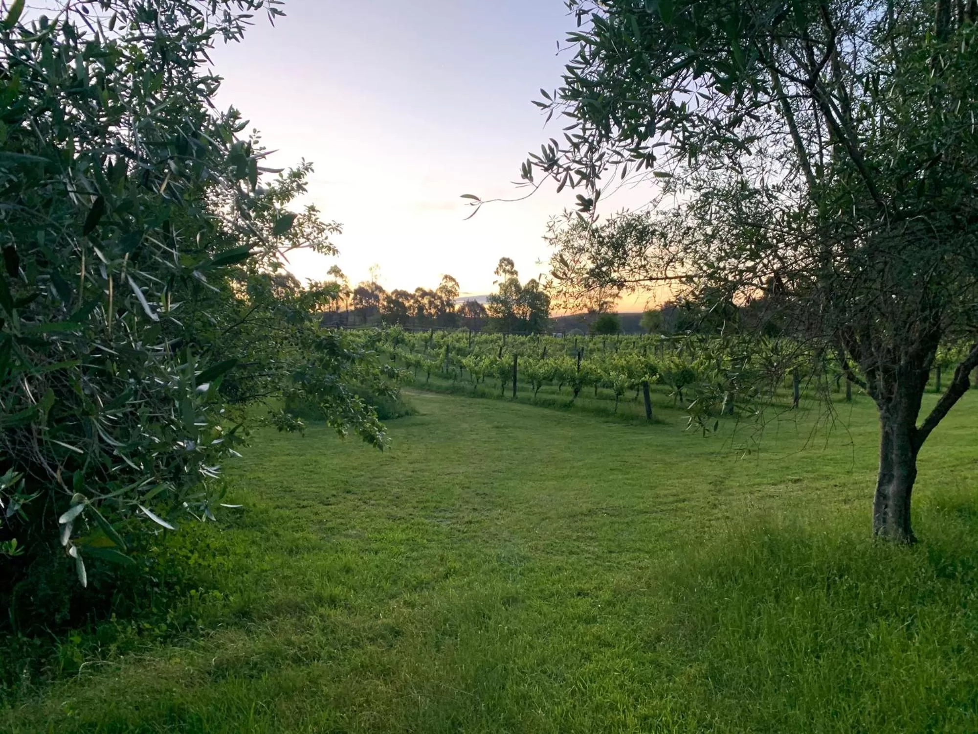 Garden view in Quail Farm, Colonial charm