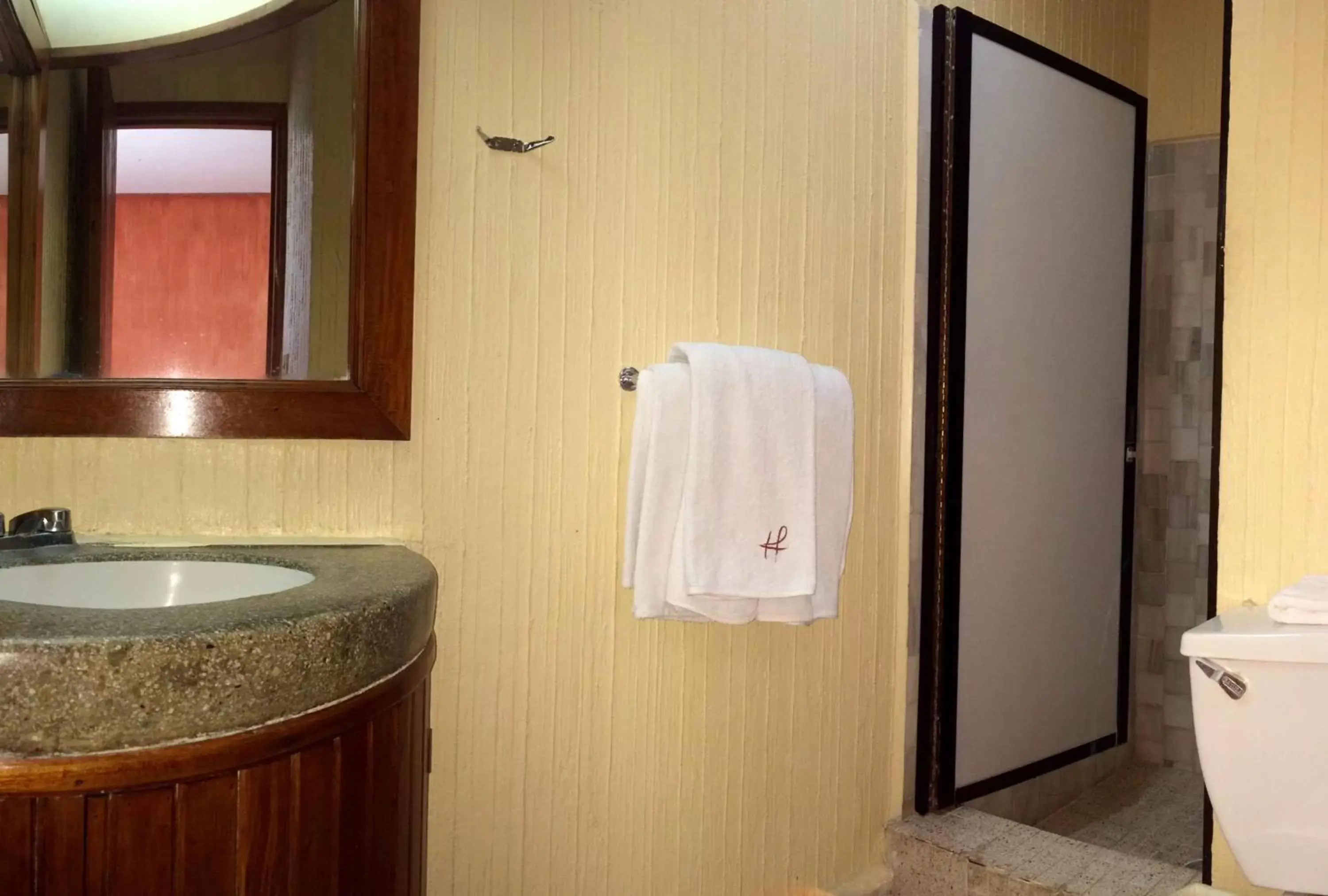 Bathroom in Hotel Fenix