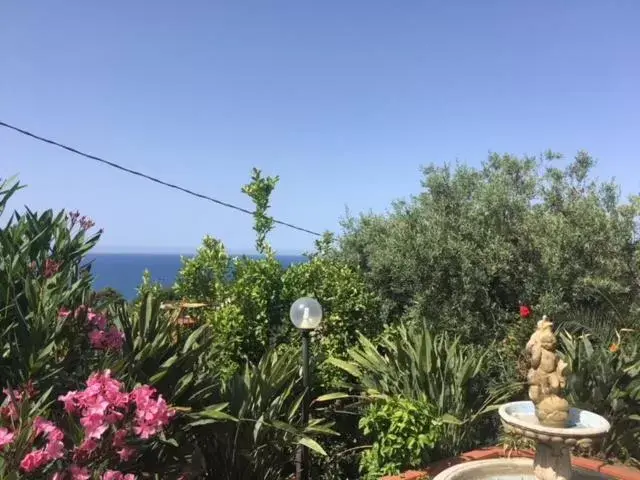 Stanza in Villa con giardino vista mare