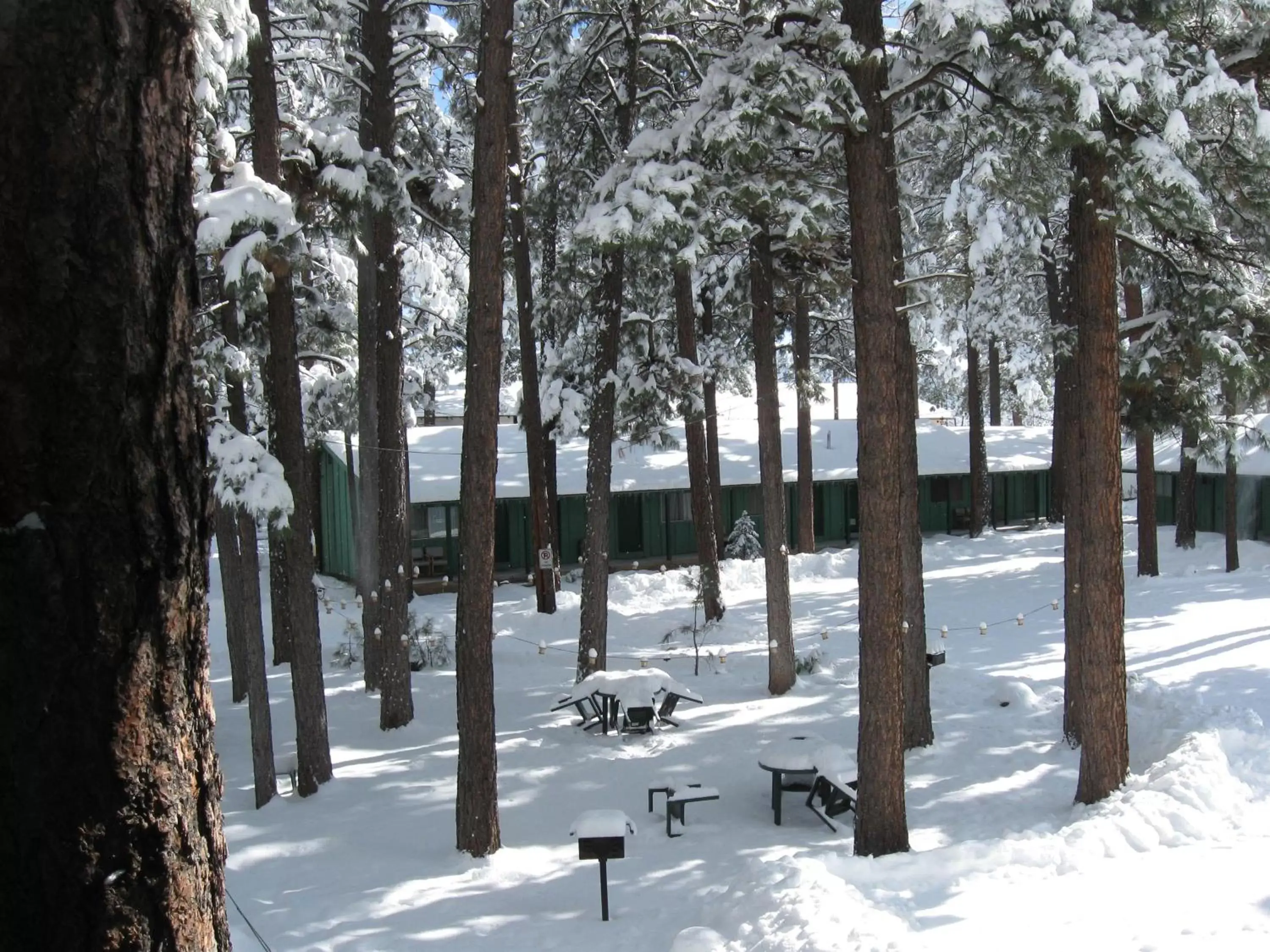 Winter in TimberLodge Inn