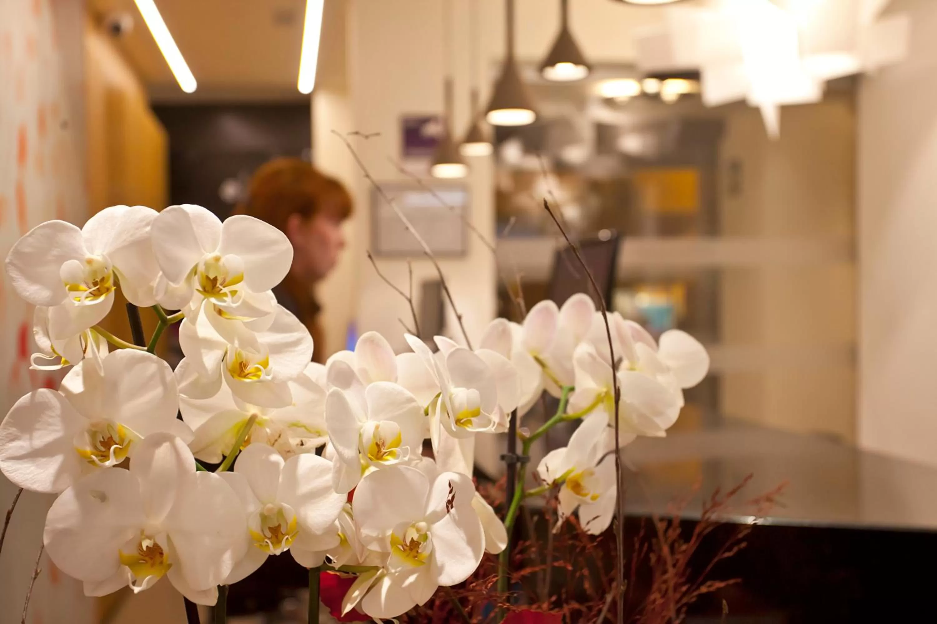 Hotel Pompaelo Plaza del Ayuntamiento & Spa